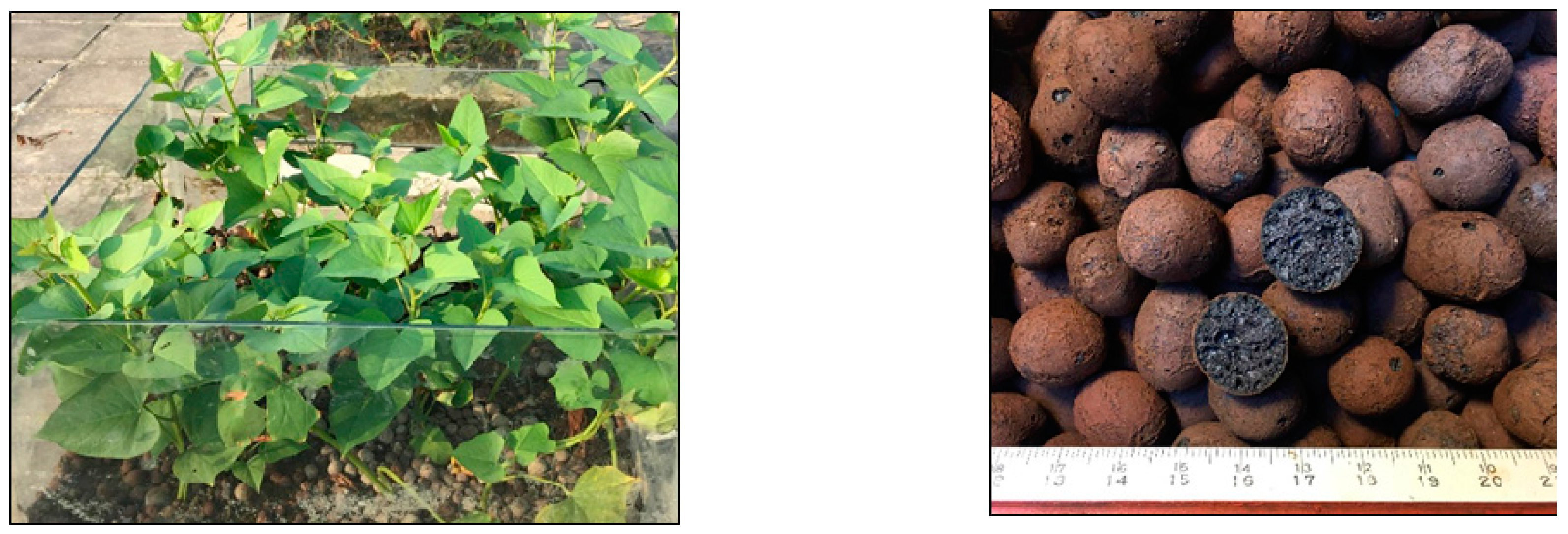 Energies 12 00424 g003 550