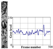 Energies 12 00735 i003