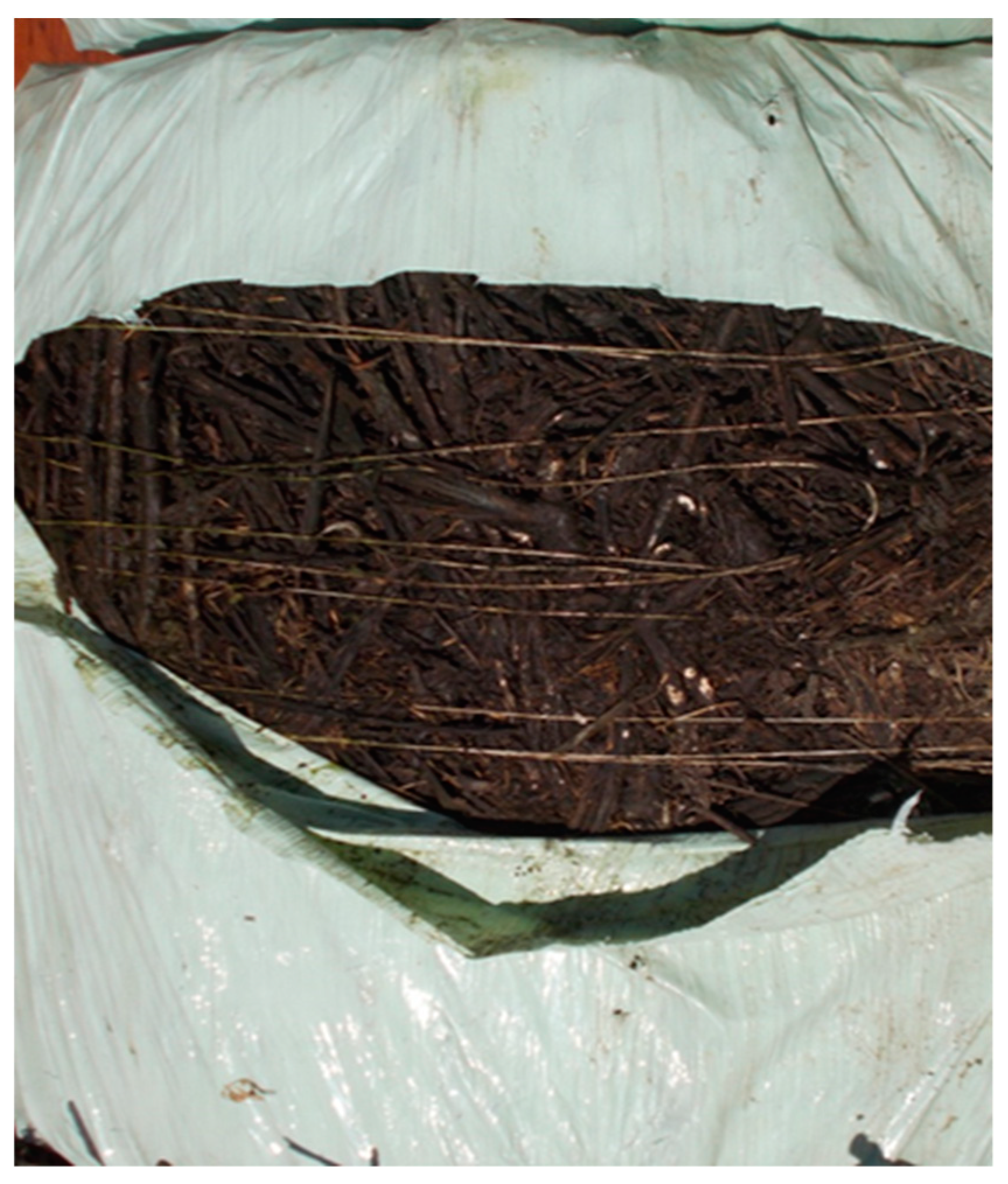 Energies 12 01044 g003