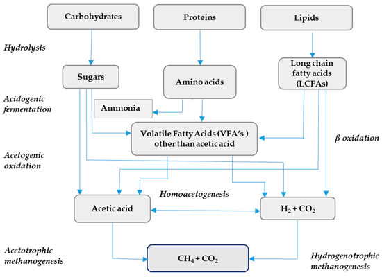 How organic overloads affect the anaerobic digesters microbiome
