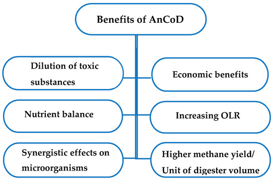 Energy Yielding Substances