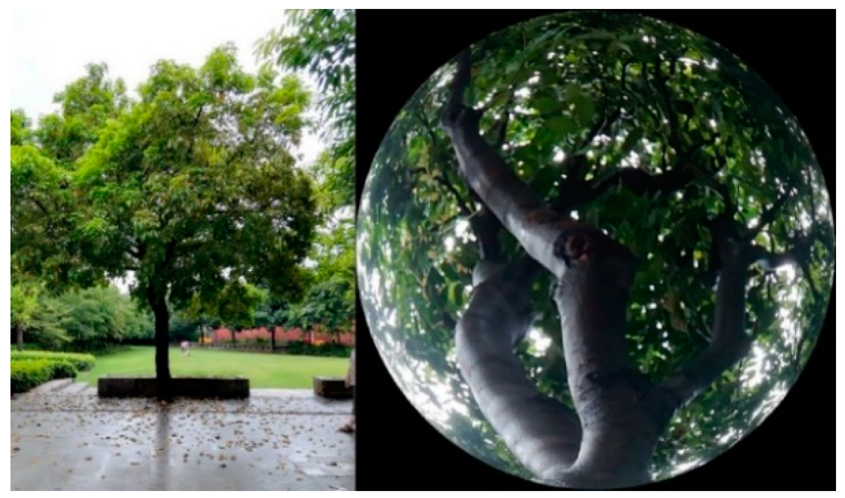 Energies 12 01324 g009 Energies 12 01324 g009