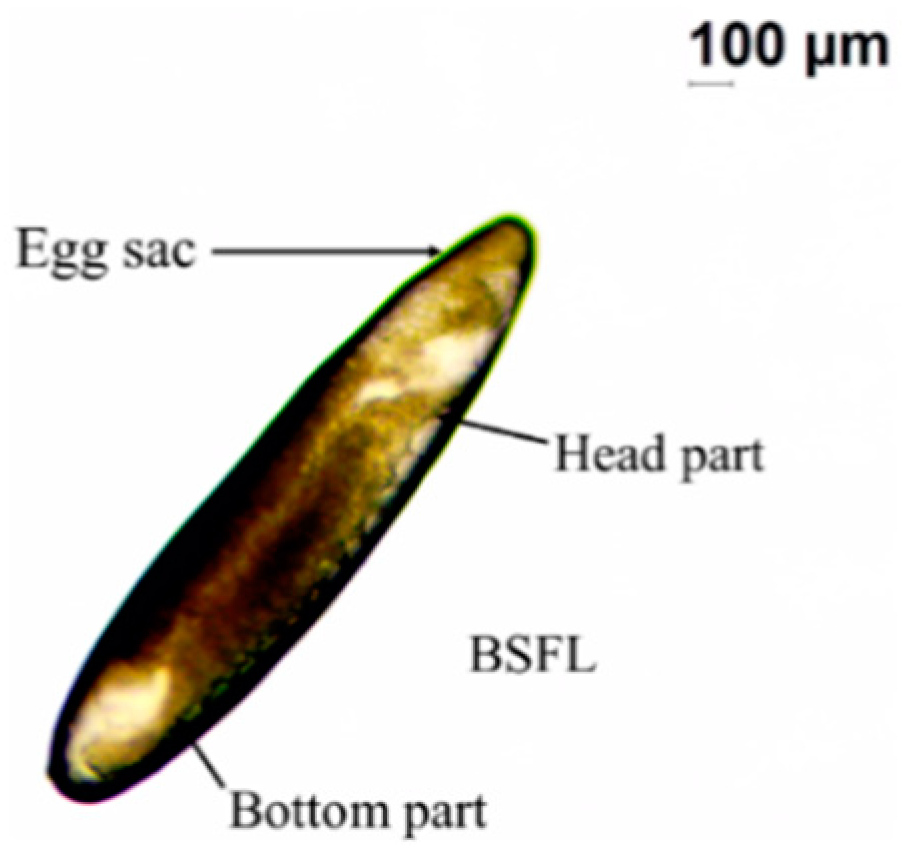 Energies 12 01570 g001