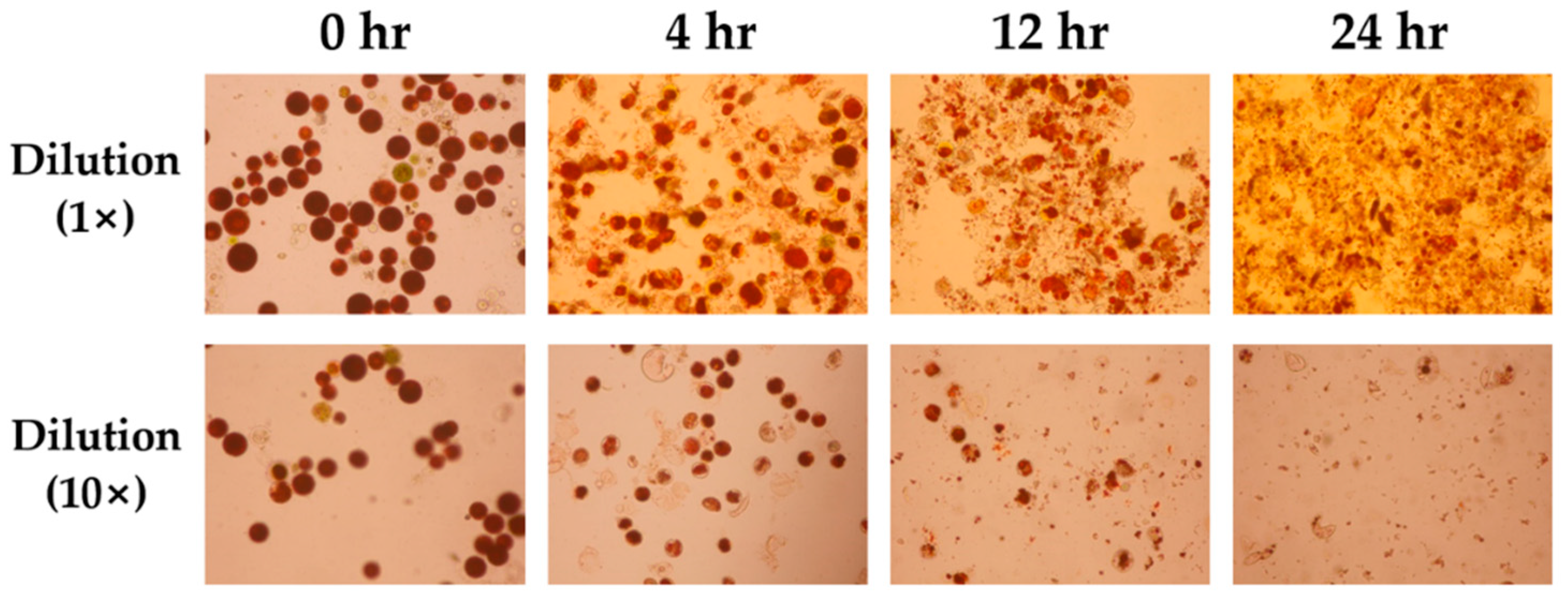 Energies 12 01718 g006 Energies 12 01718 g006