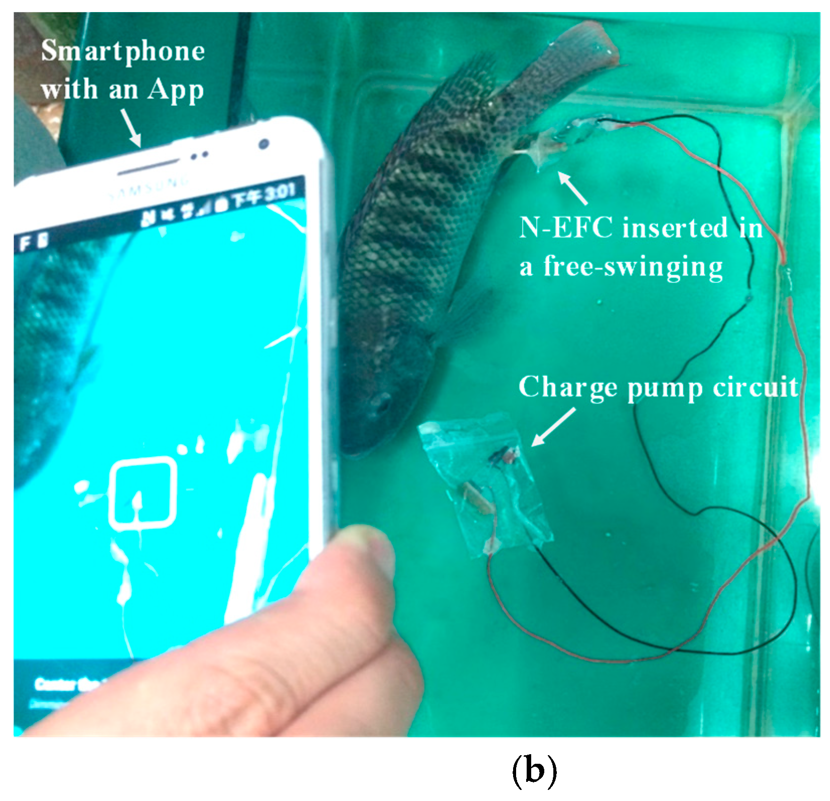 Energies 12 01827 g001b