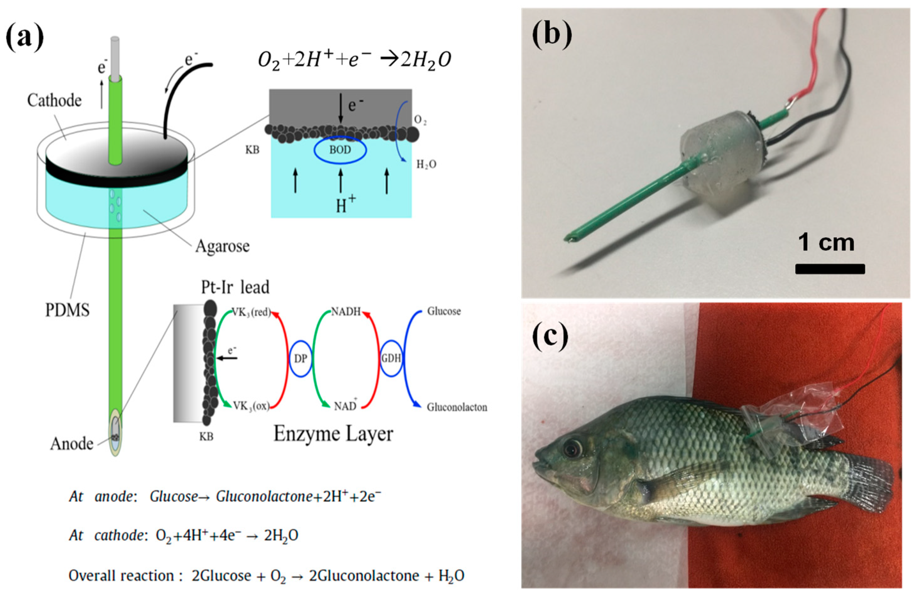 Energies 12 01827 g002