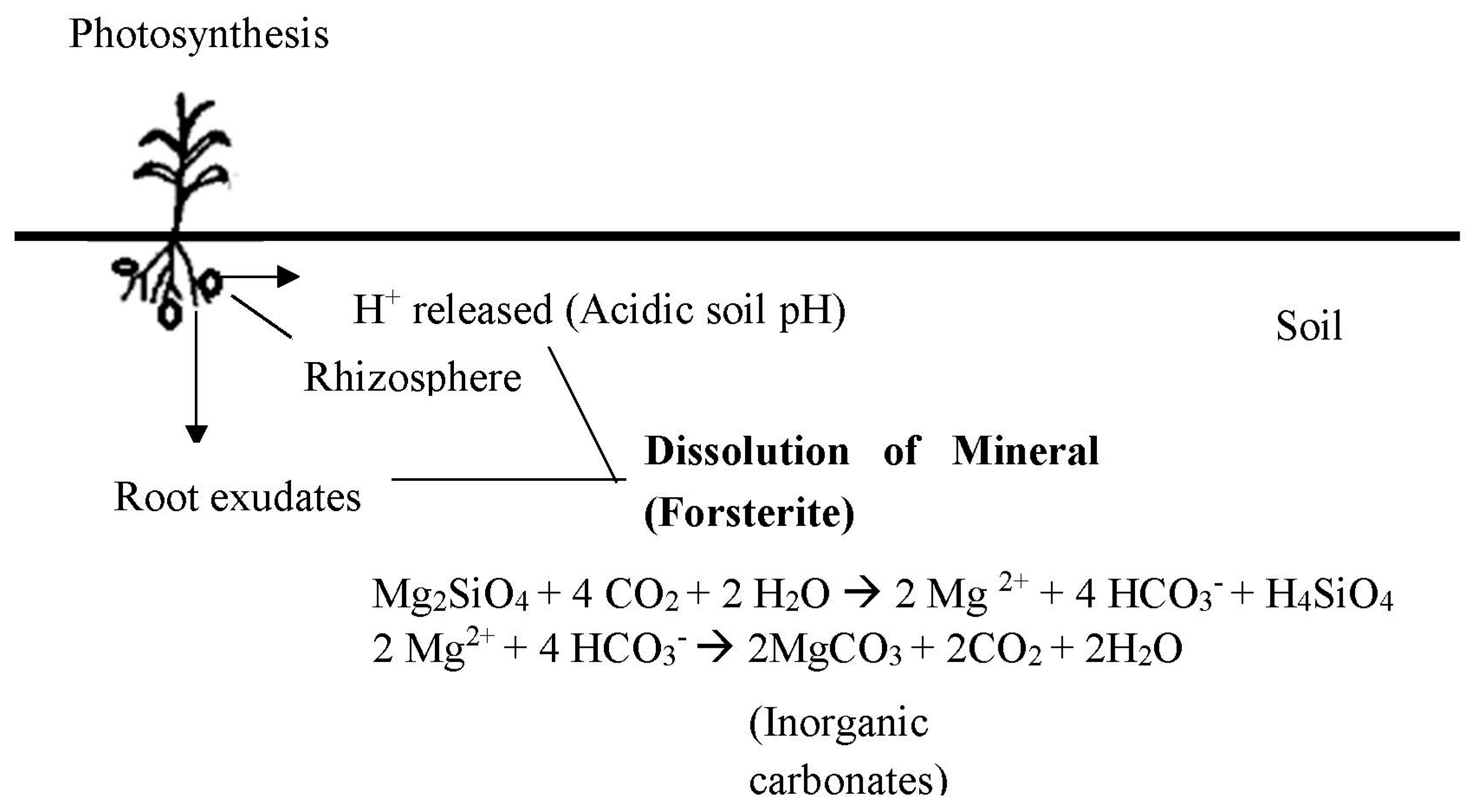 Energies 12 02299 g002