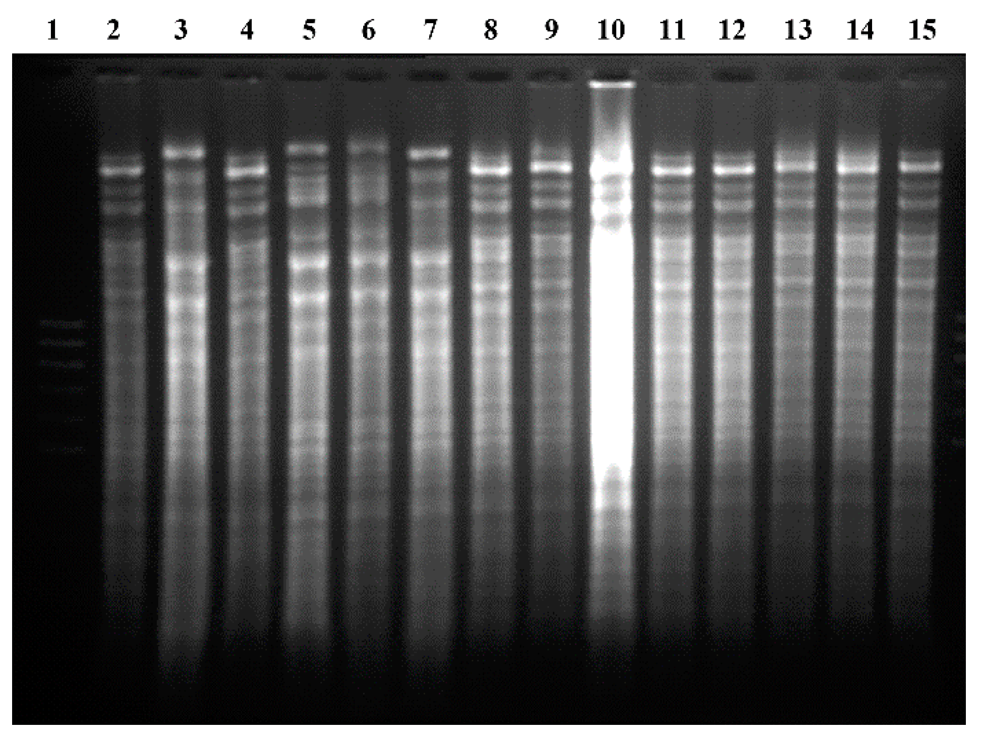 Energies 12 02614 g004