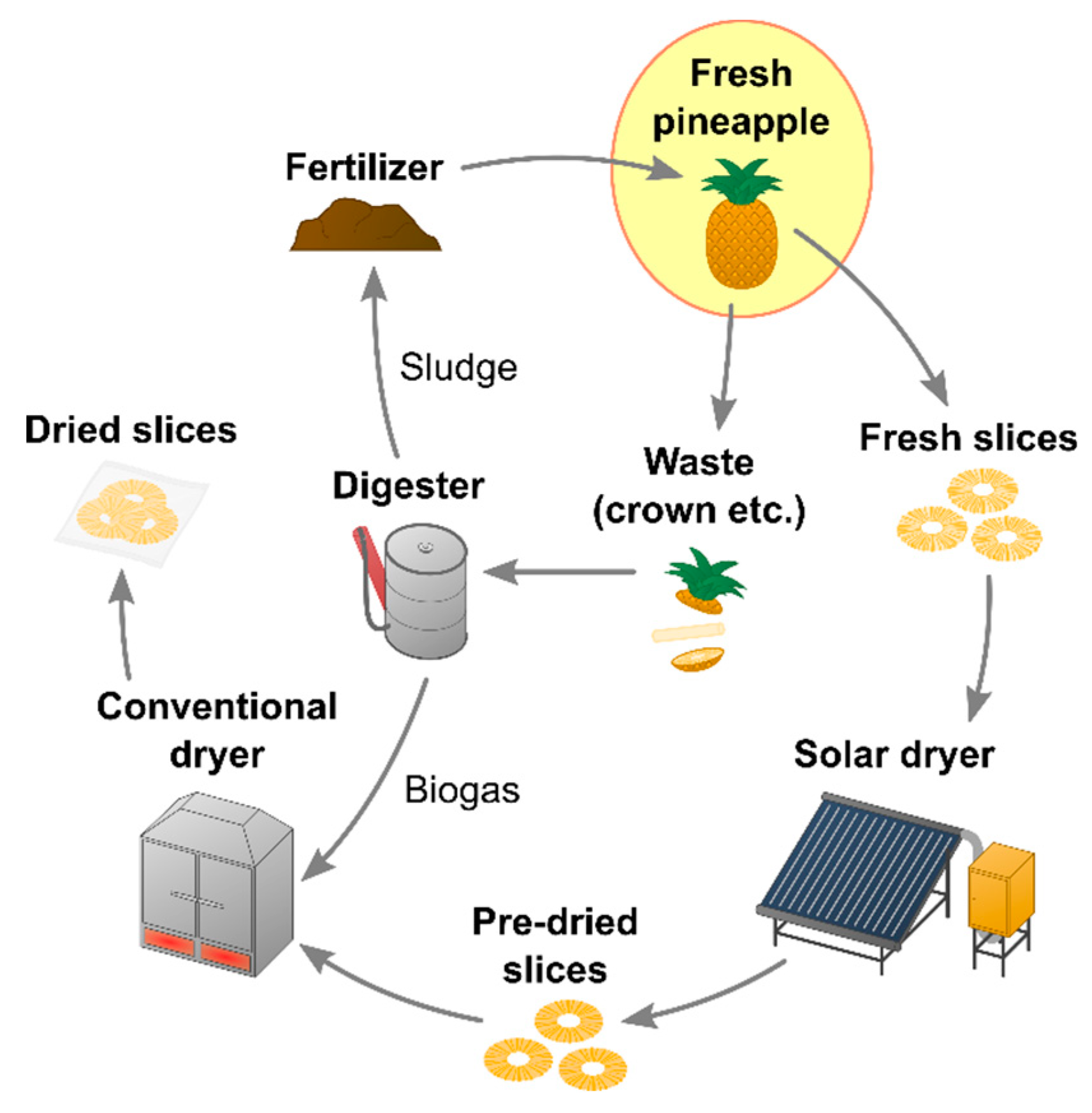 Energies Free FullText Indirect Convective Solar Drying Process of