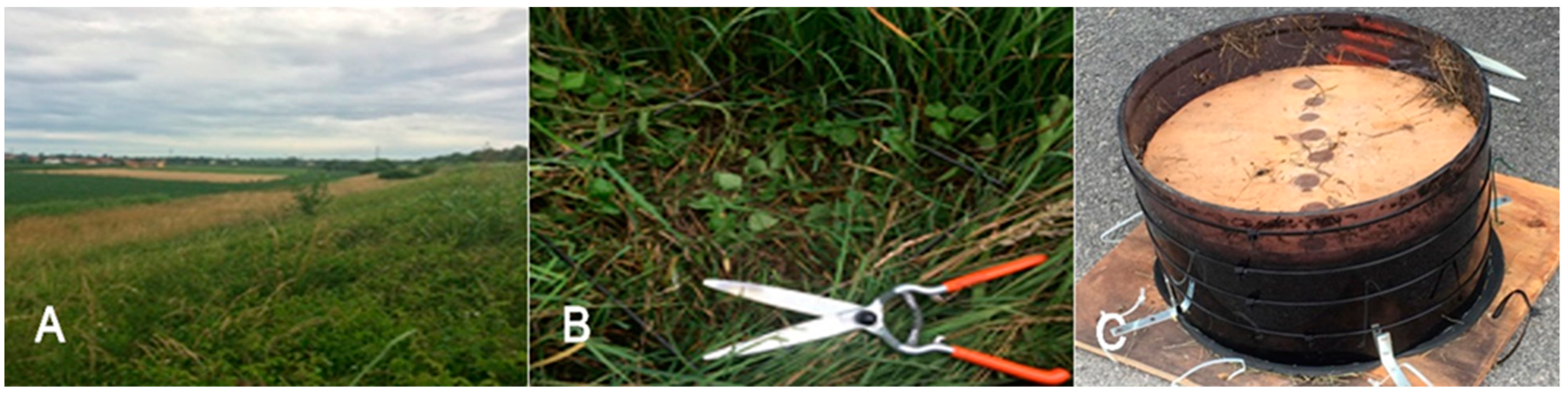 Energies 12 03244 g001 Energies 12 03244 g001