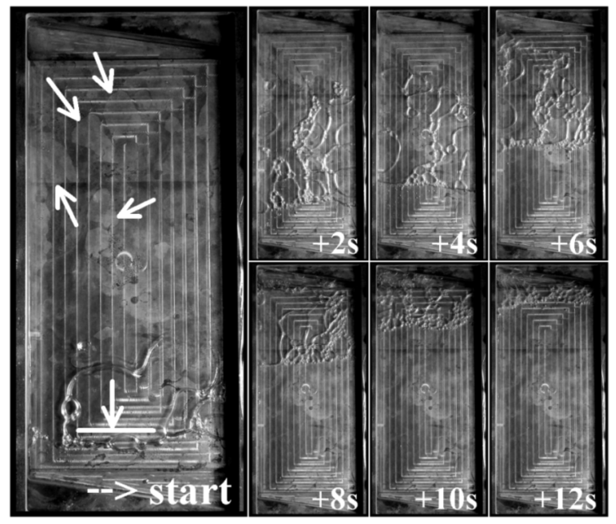 Energies 12 03368 g016