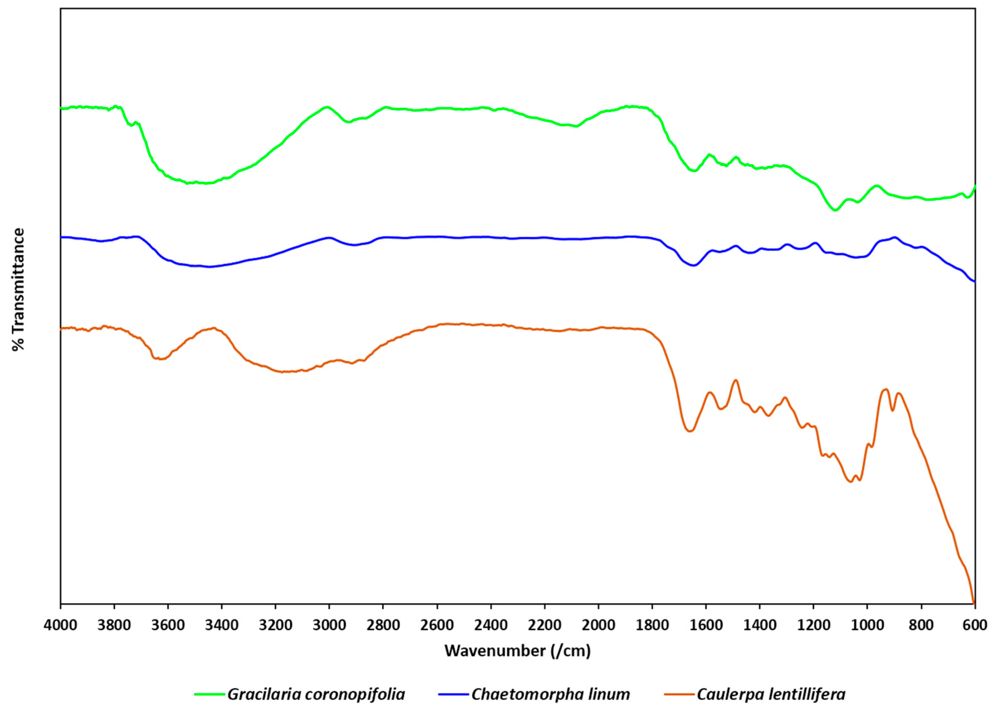 Energies 12 03509 g004 Energies 12 03509 g004