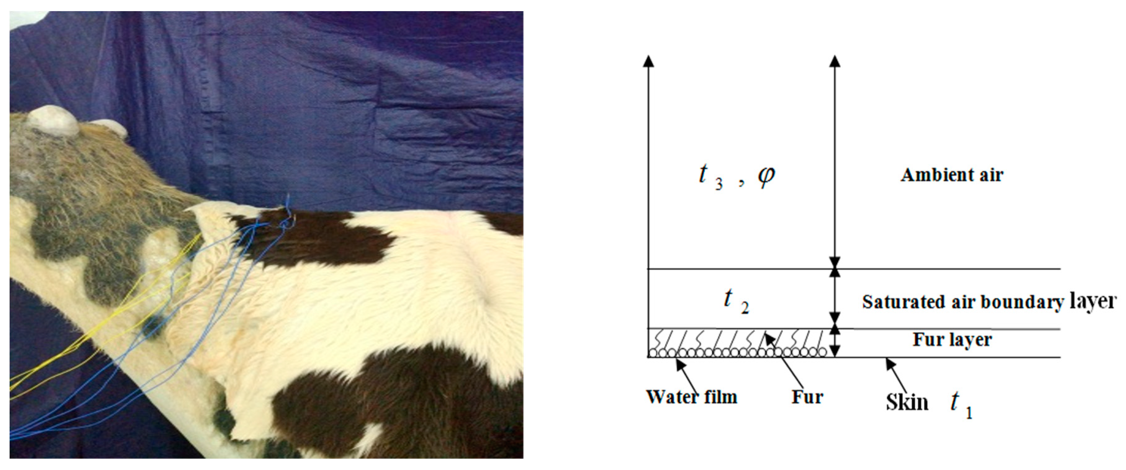 Energies 12 03637 g003