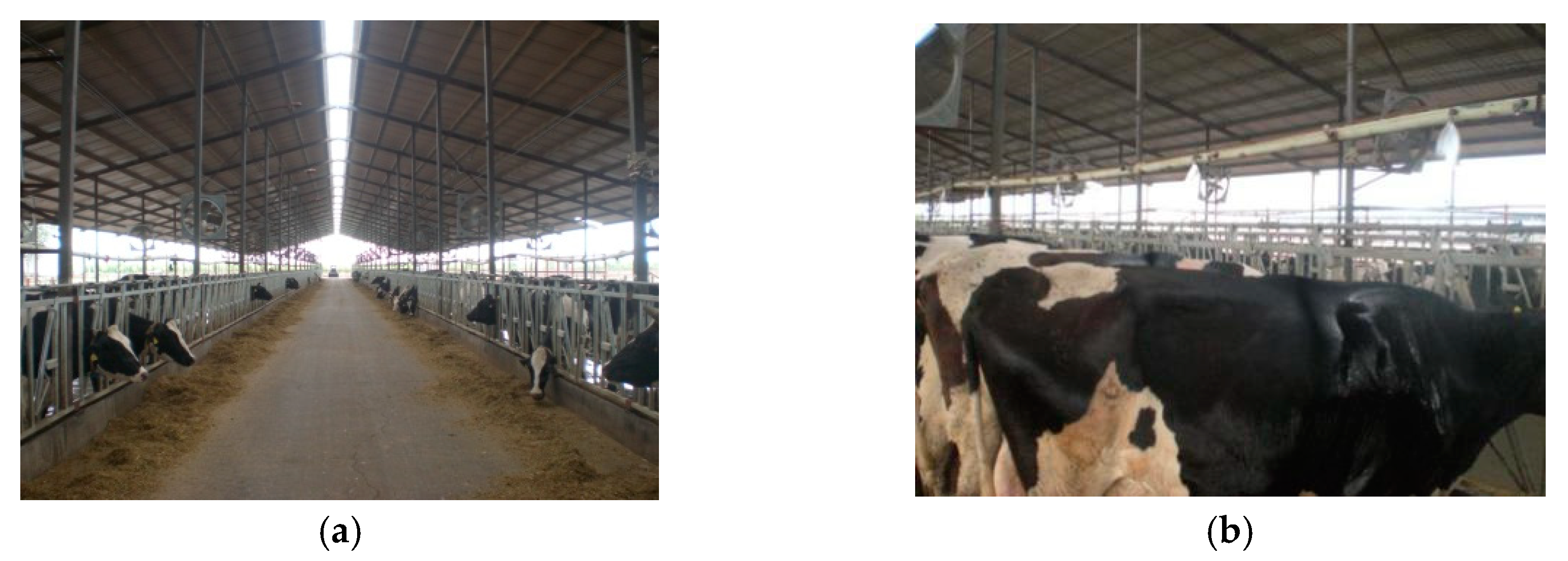 Energies 12 03637 g005