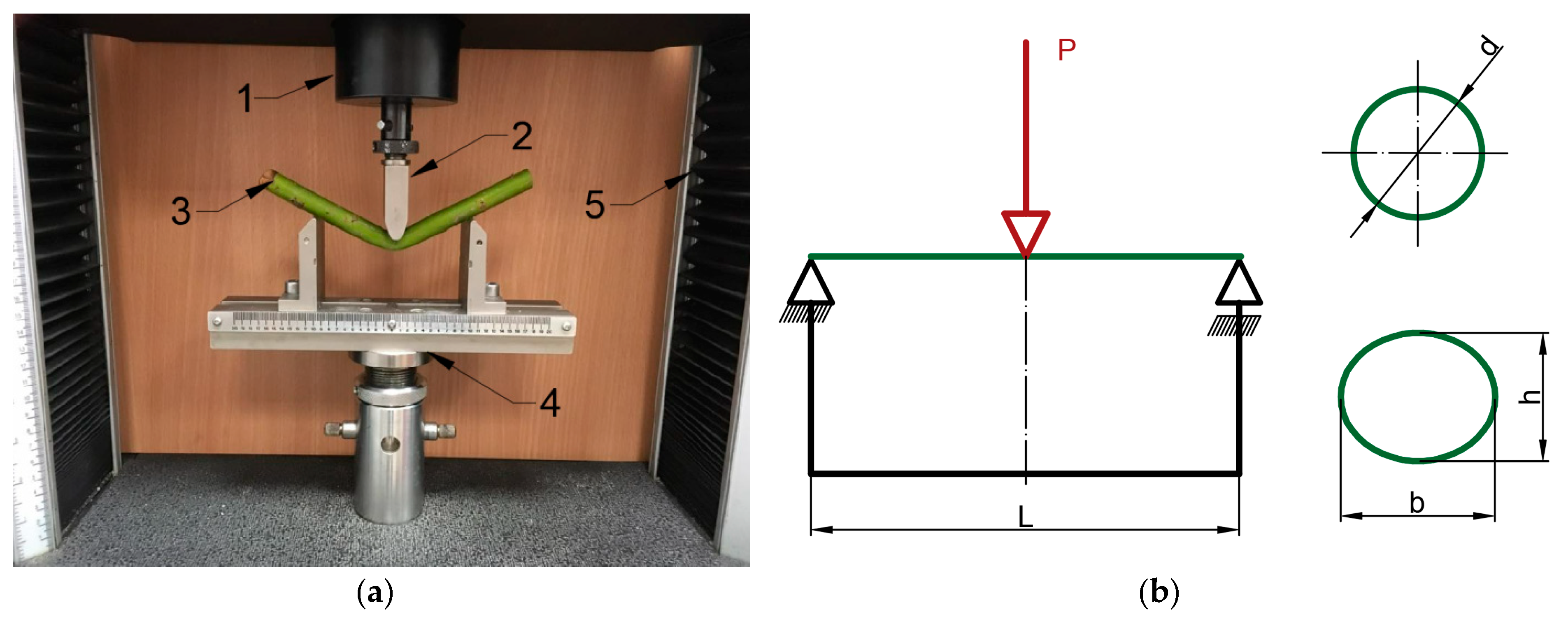 Energies 12 03660 g004