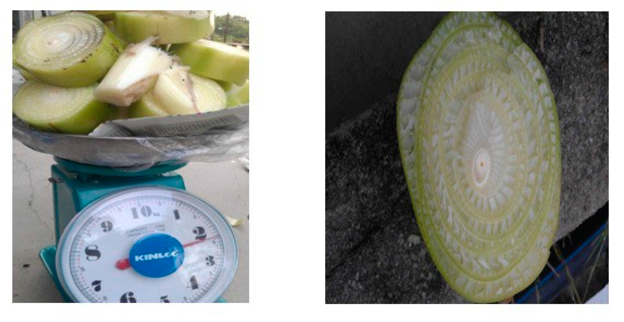 Energies 12 03947 g002 550