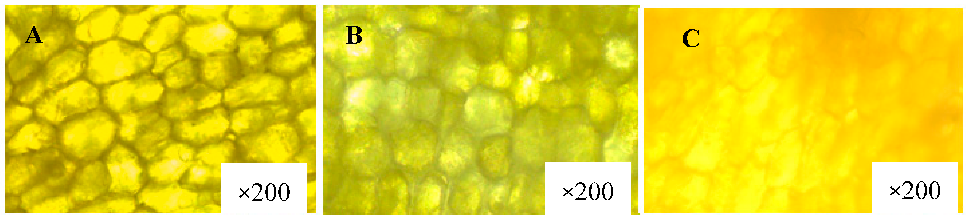 Energies 12 03981 g003 Energies 12 03981 g003