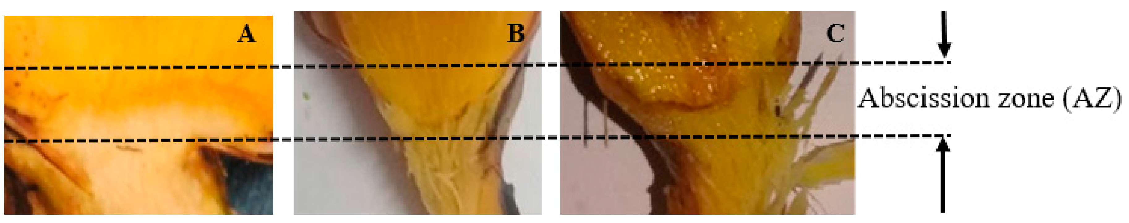 Energies 12 03981 g004 Energies 12 03981 g004