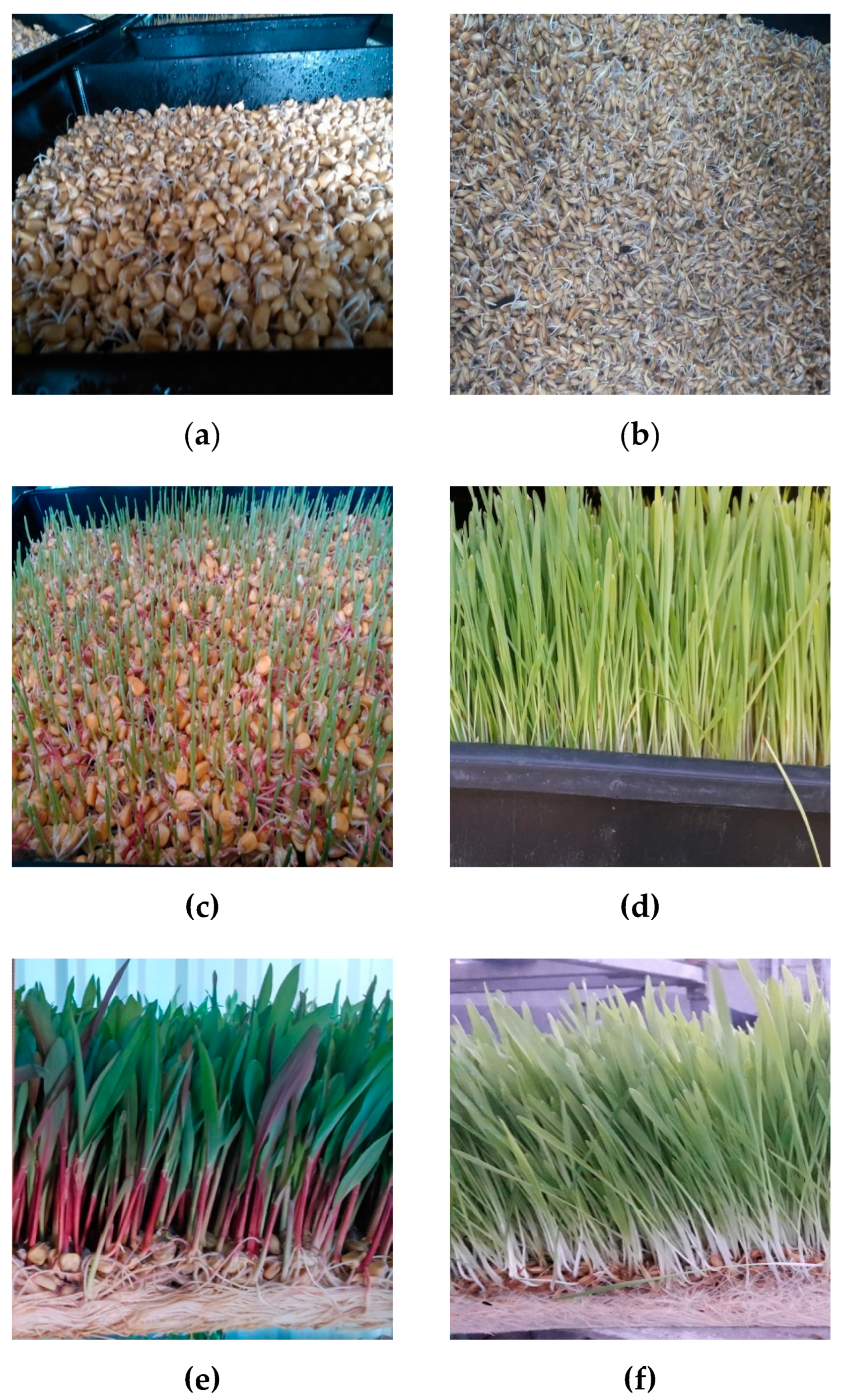 Energies 12 04056 g005