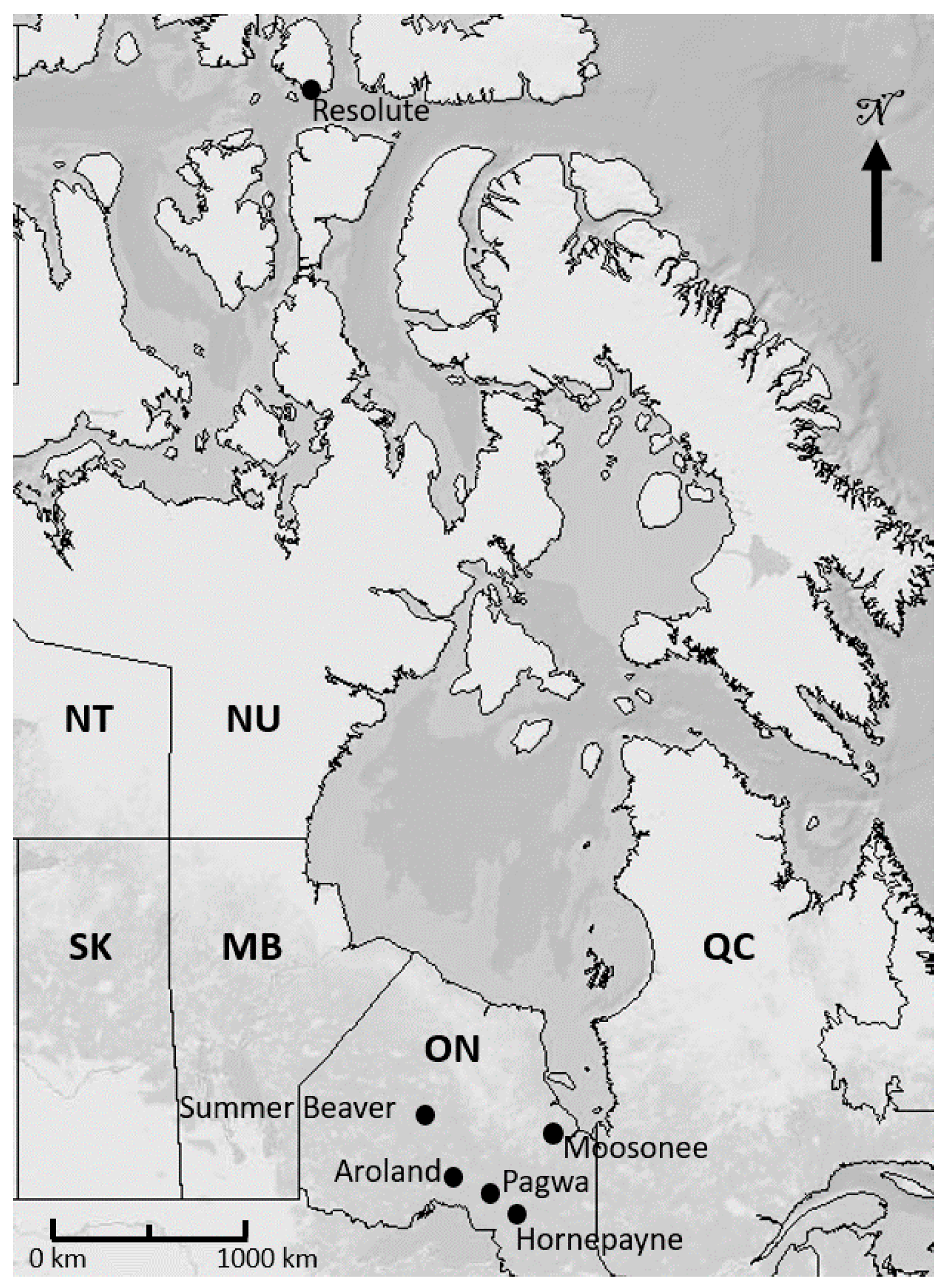 Energies 12 04058 g001