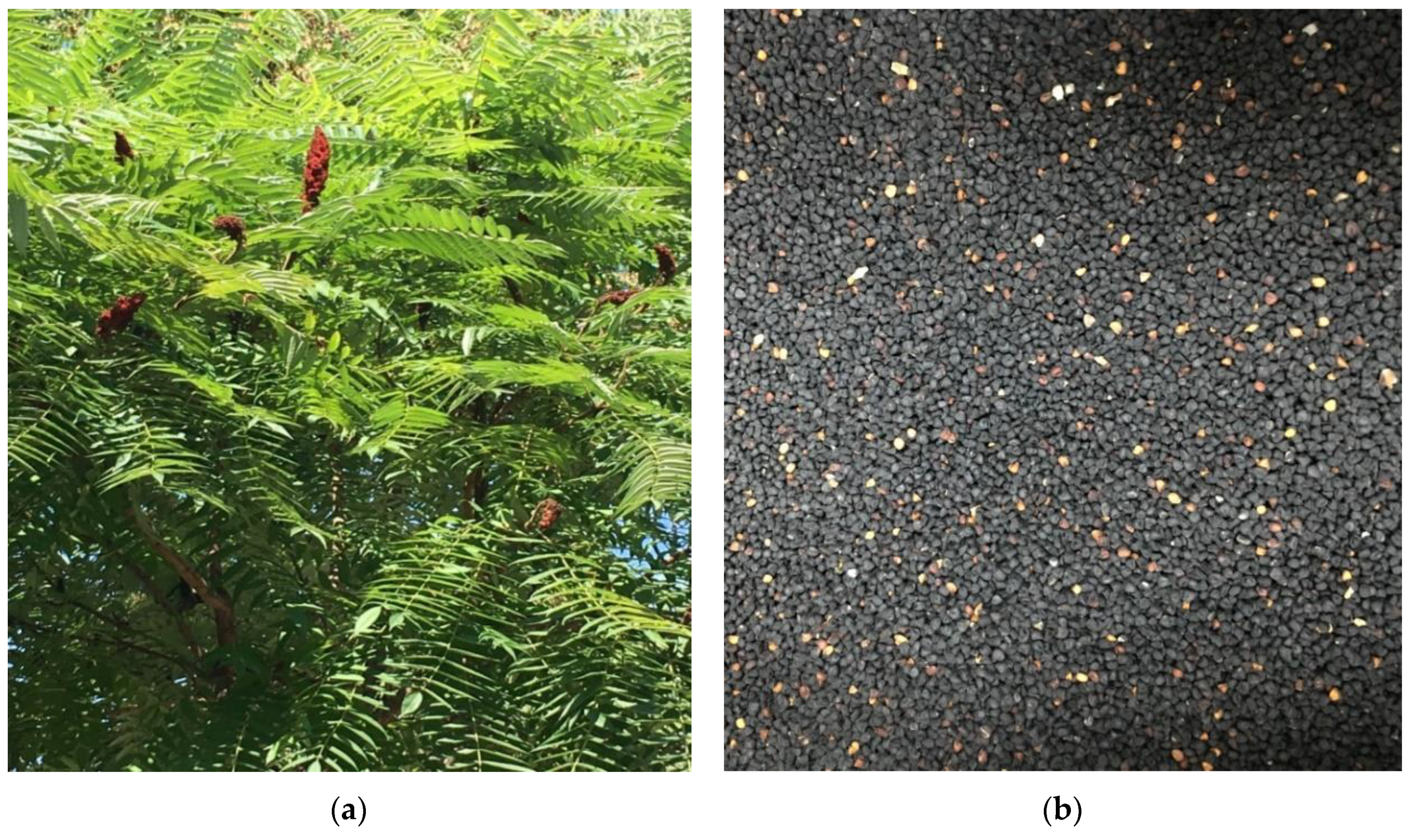 Energies 12 04290 g002