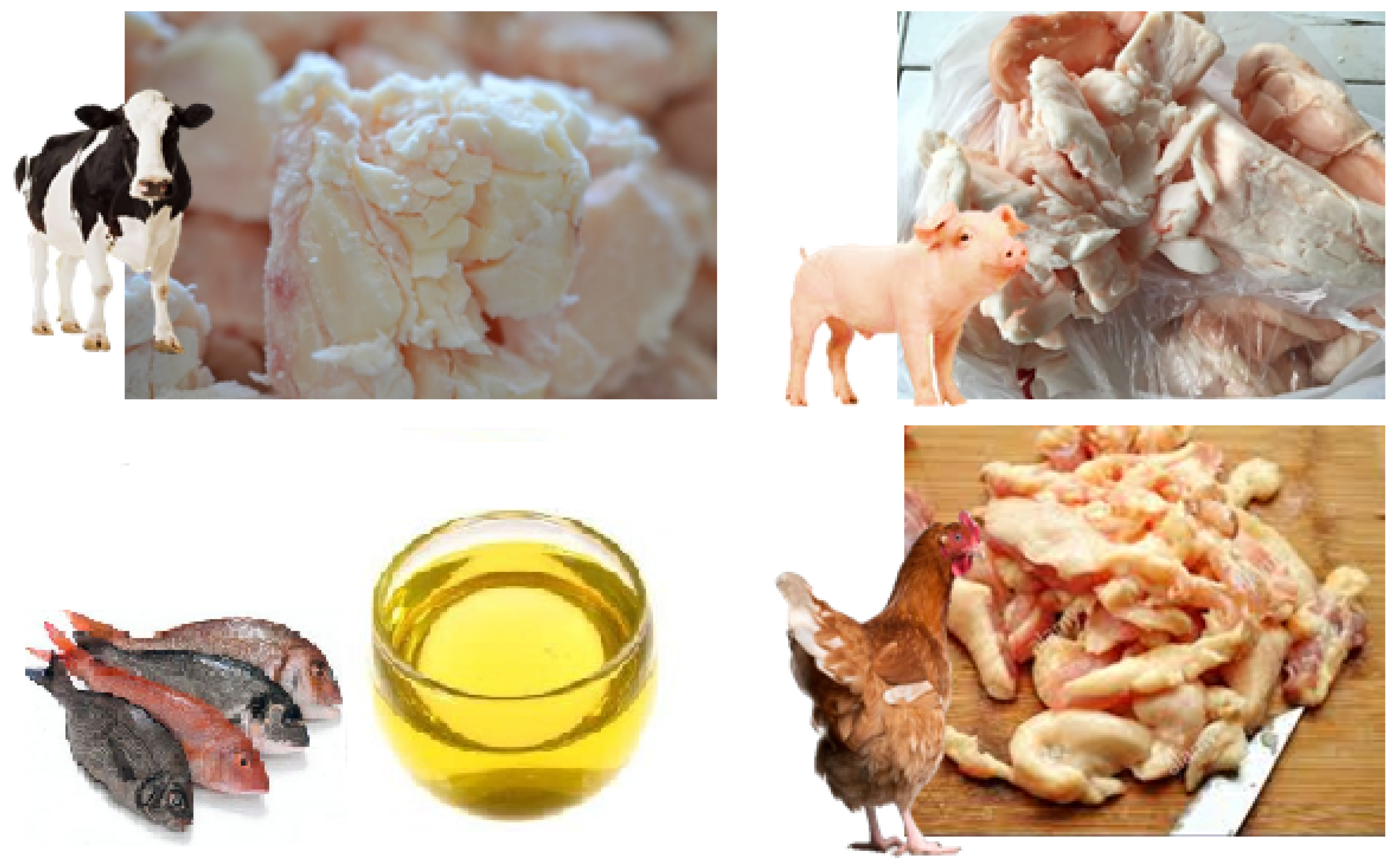 Energies | Free Full-Text | Biodiesel Production Processes and Sustainable Raw Materials Energies | Free Full-Text | Biodiesel Production Processes and Sustainable Raw Materials