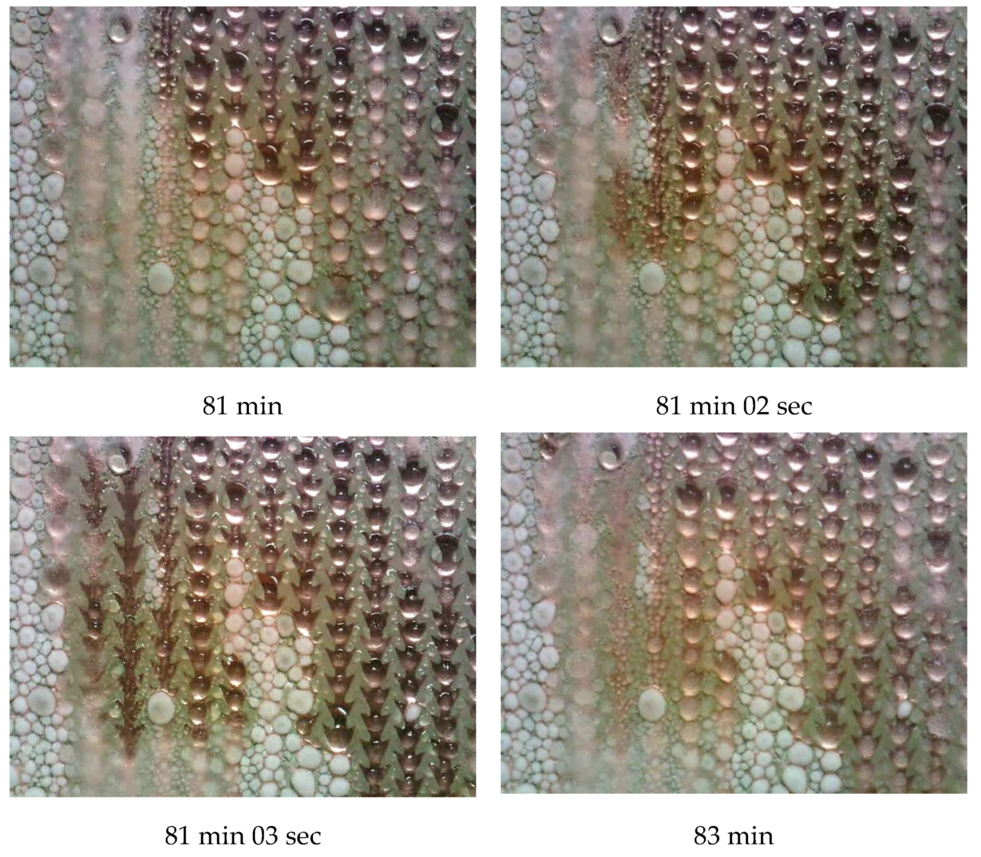 Energies 12 04471 g011