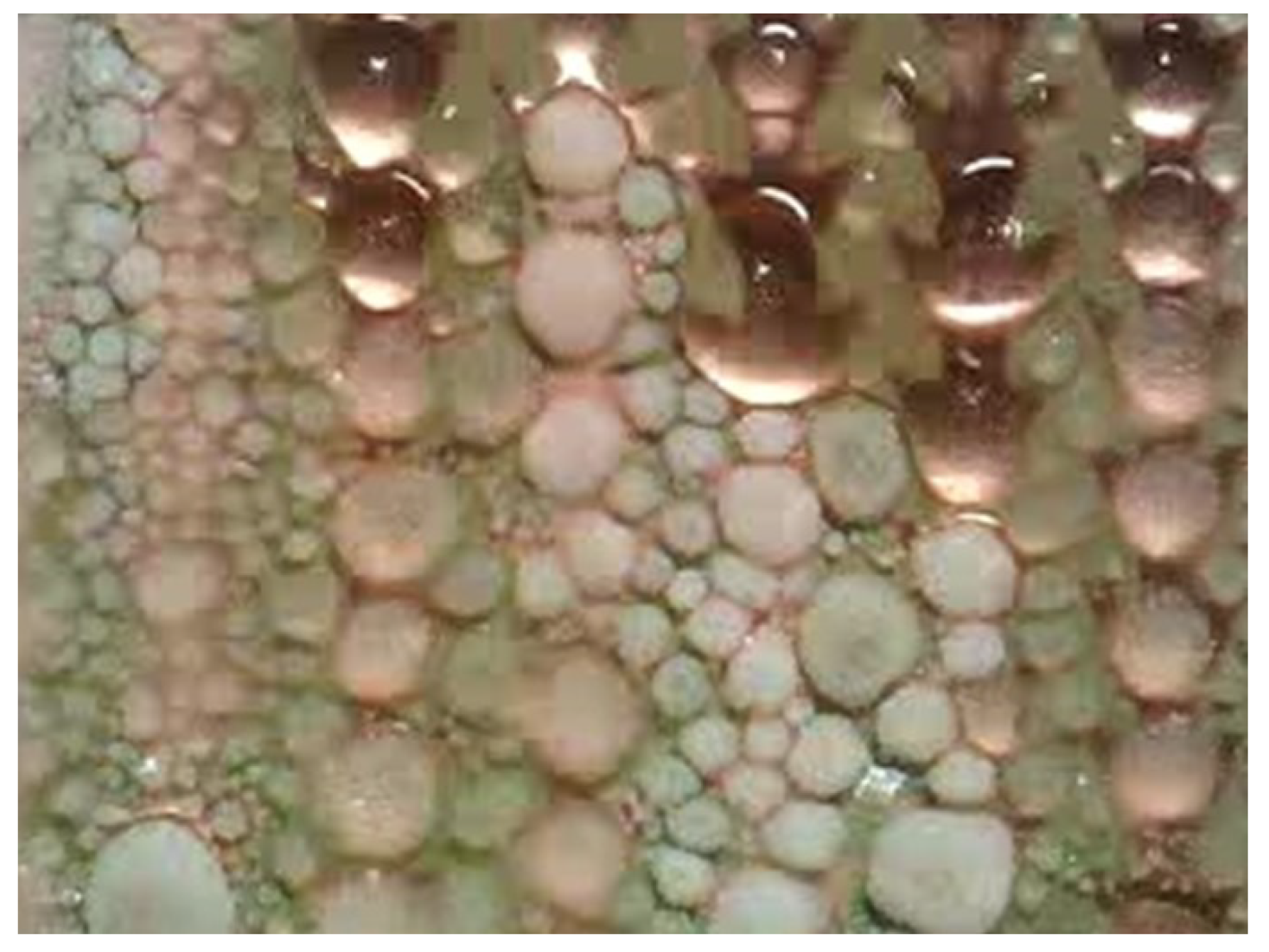 Energies 12 04471 g012