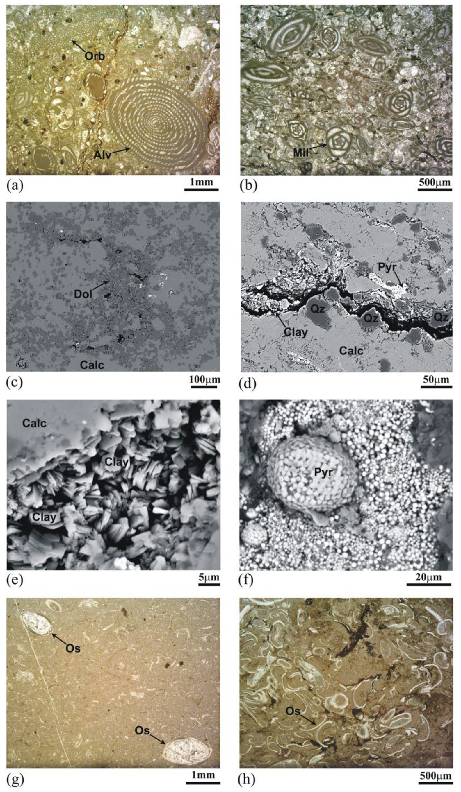 Energies 12 04524 g012 Energies 12 04524 g012