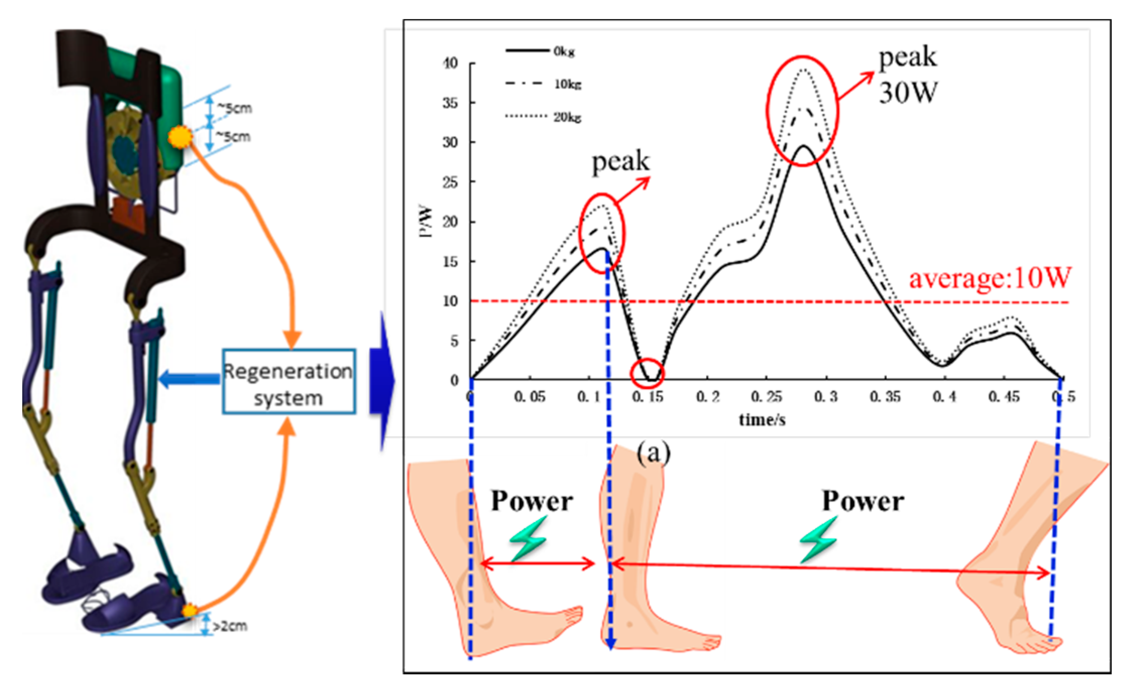 Energies Free FullText Overview of Human Walking Induced Energy