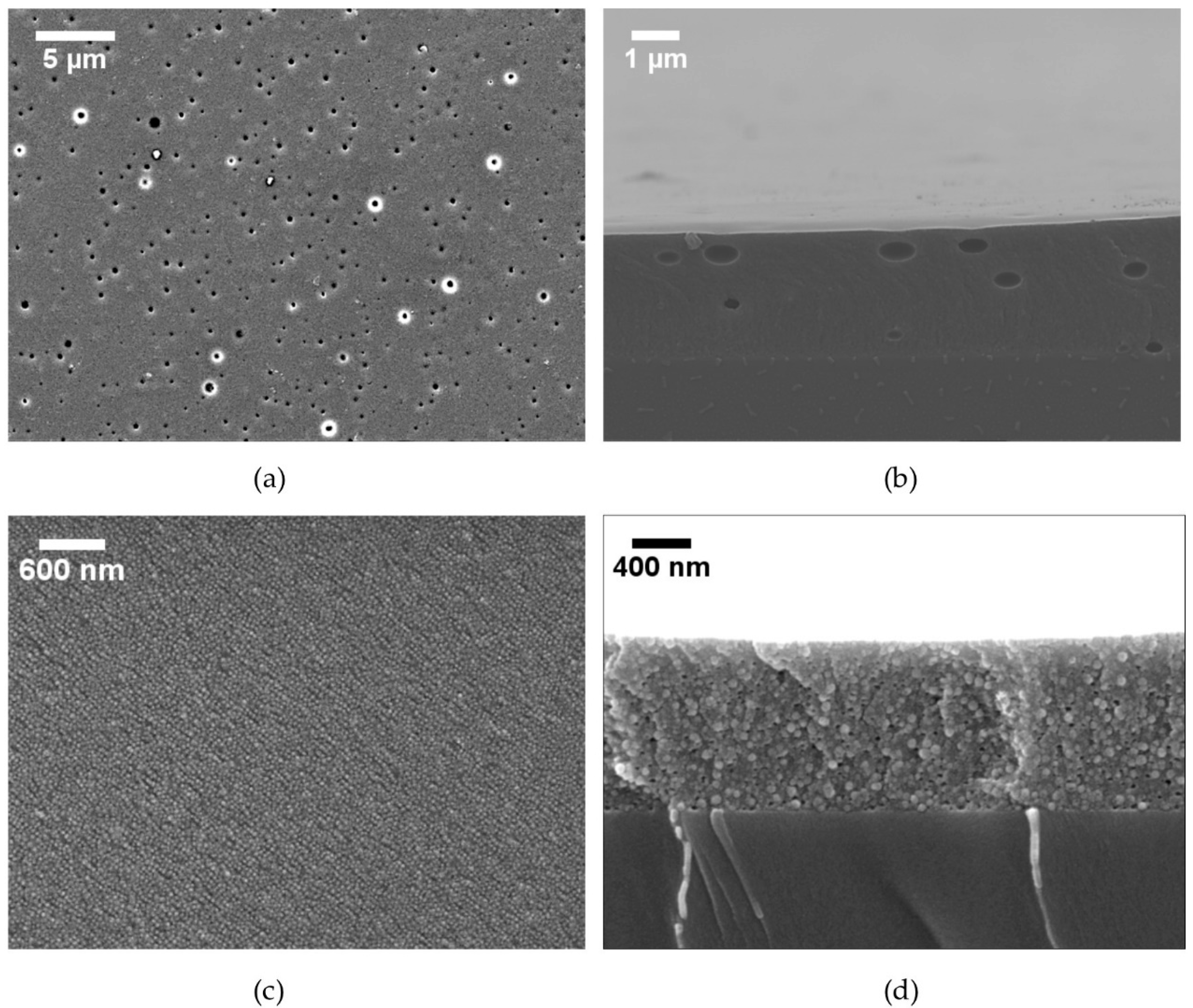 Energies 13 00299 g005 Energies 13 00299 g005