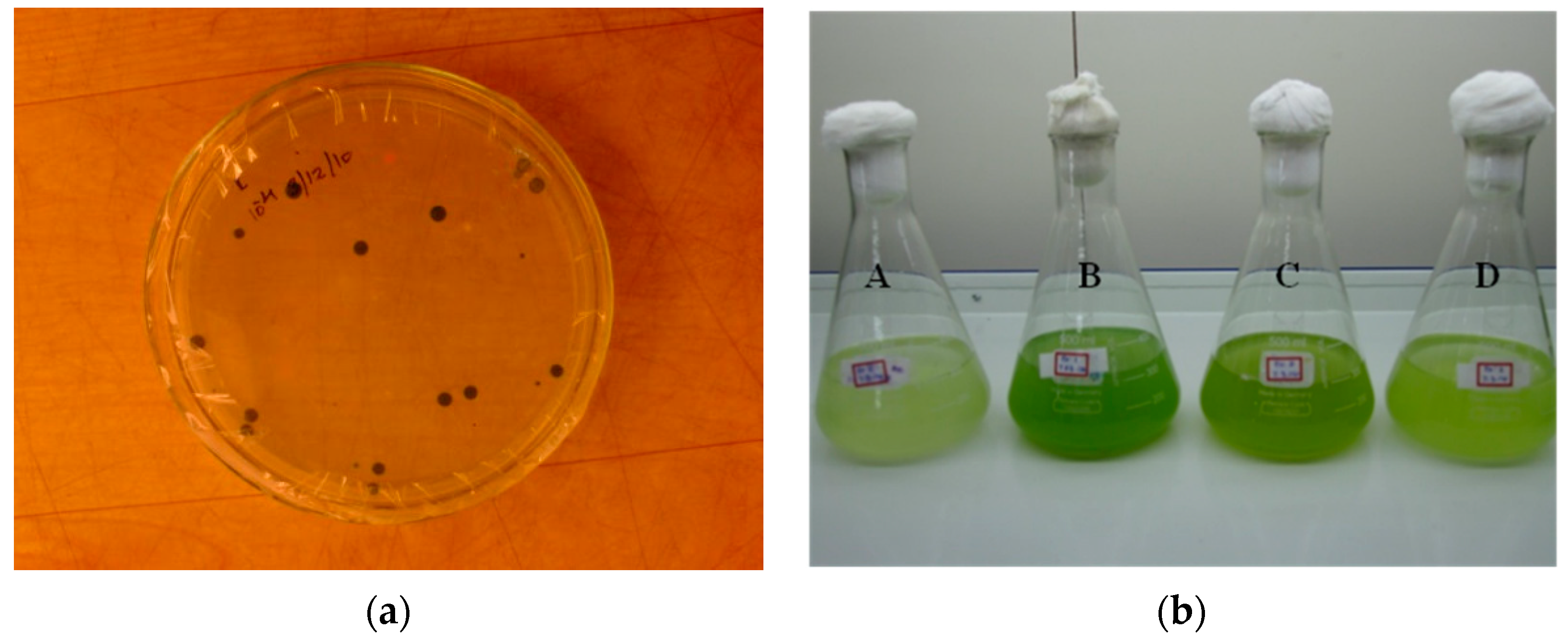 Energies 13 00341 g001