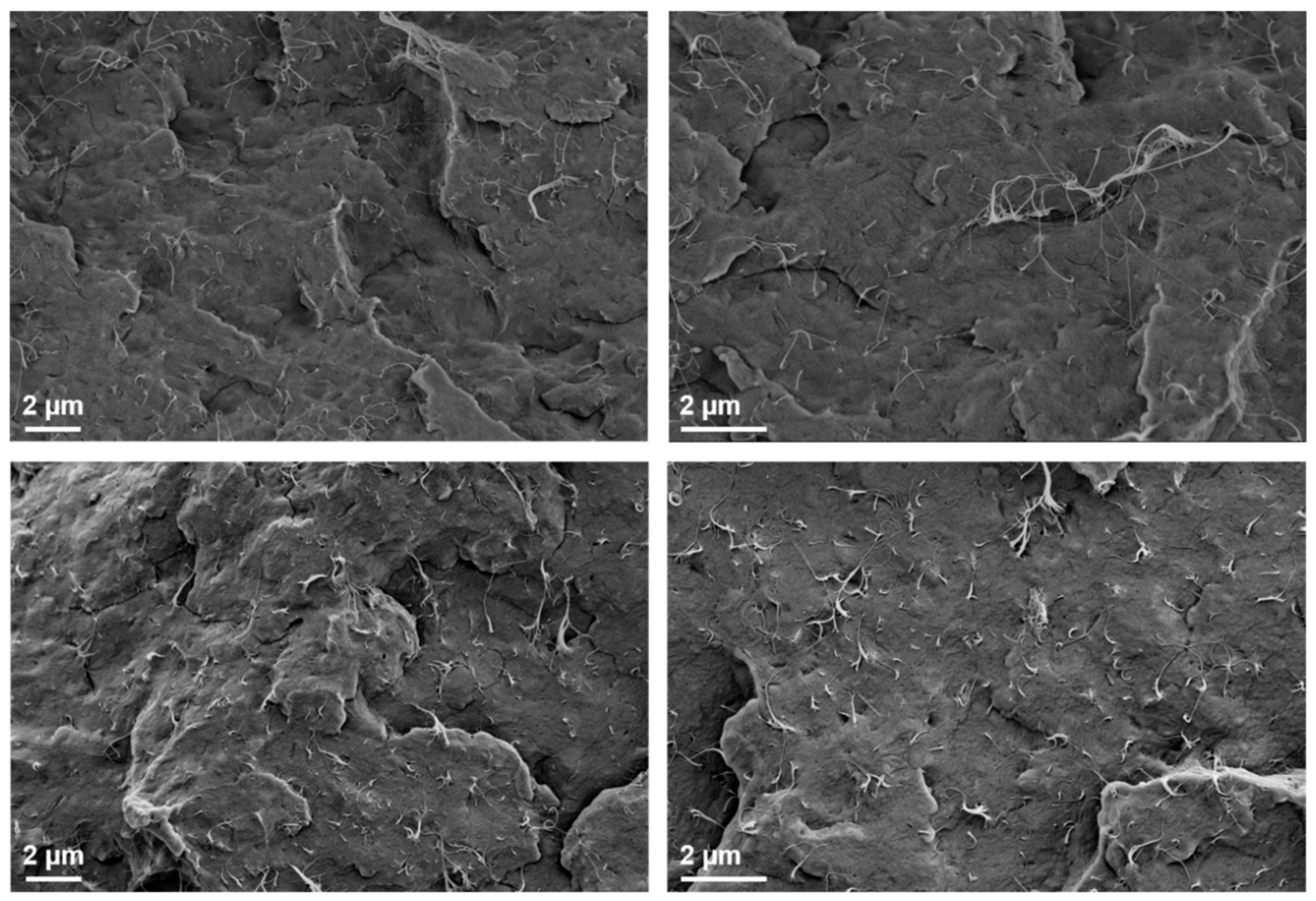 Energies 13 00394 g007