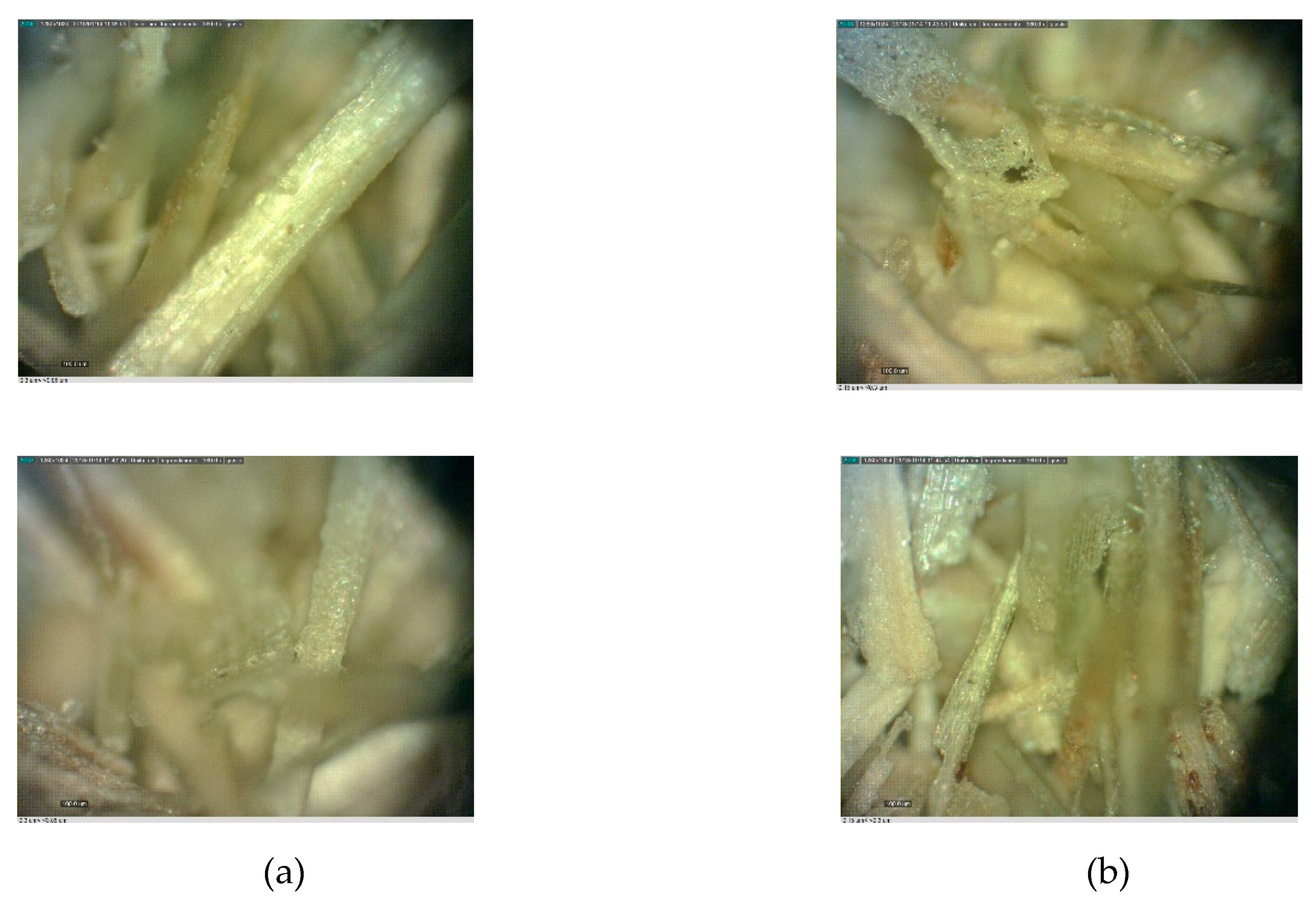 Energies 13 00479 g005