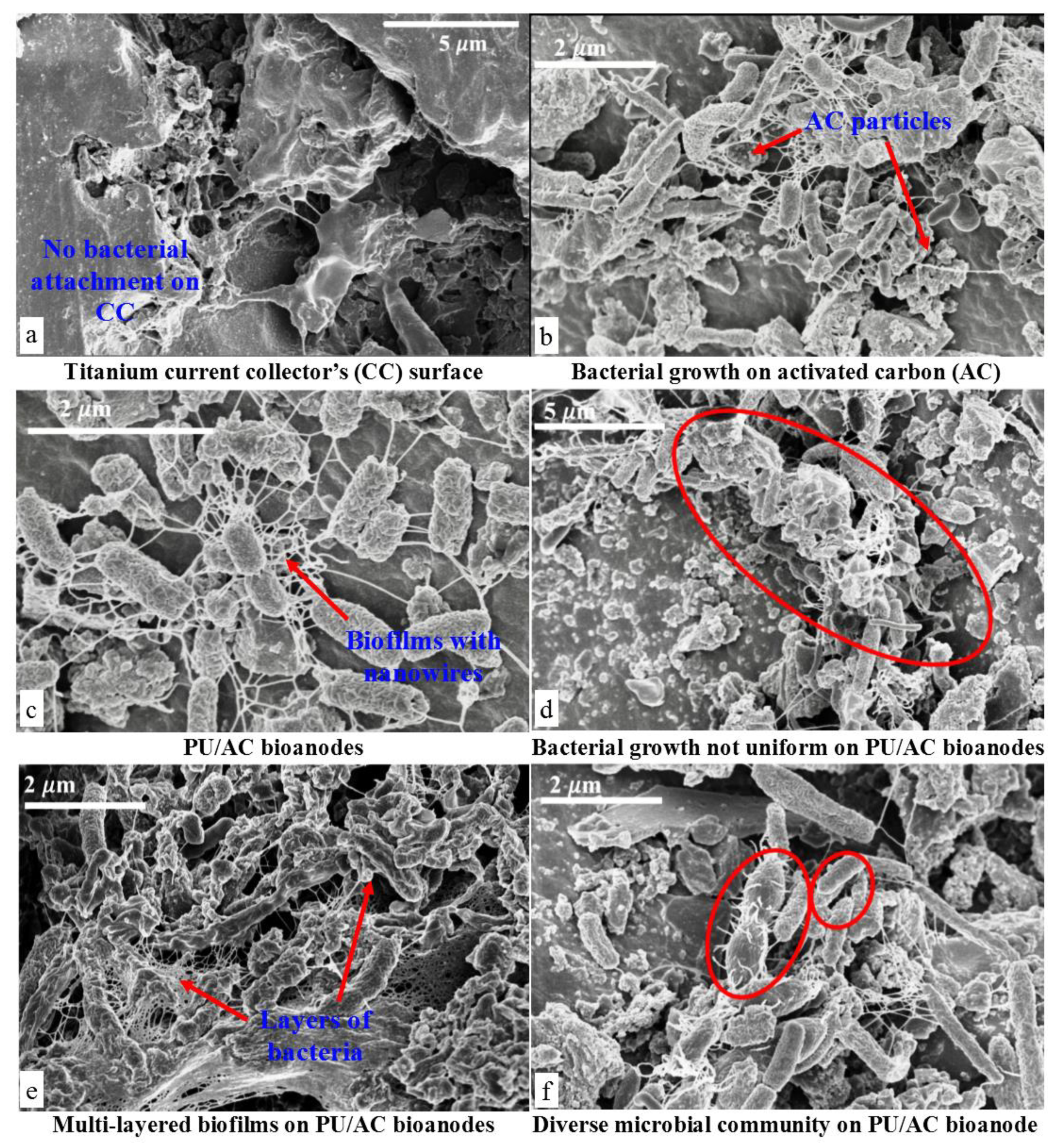 Energies 13 00574 g007 Energies 13 00574 g007