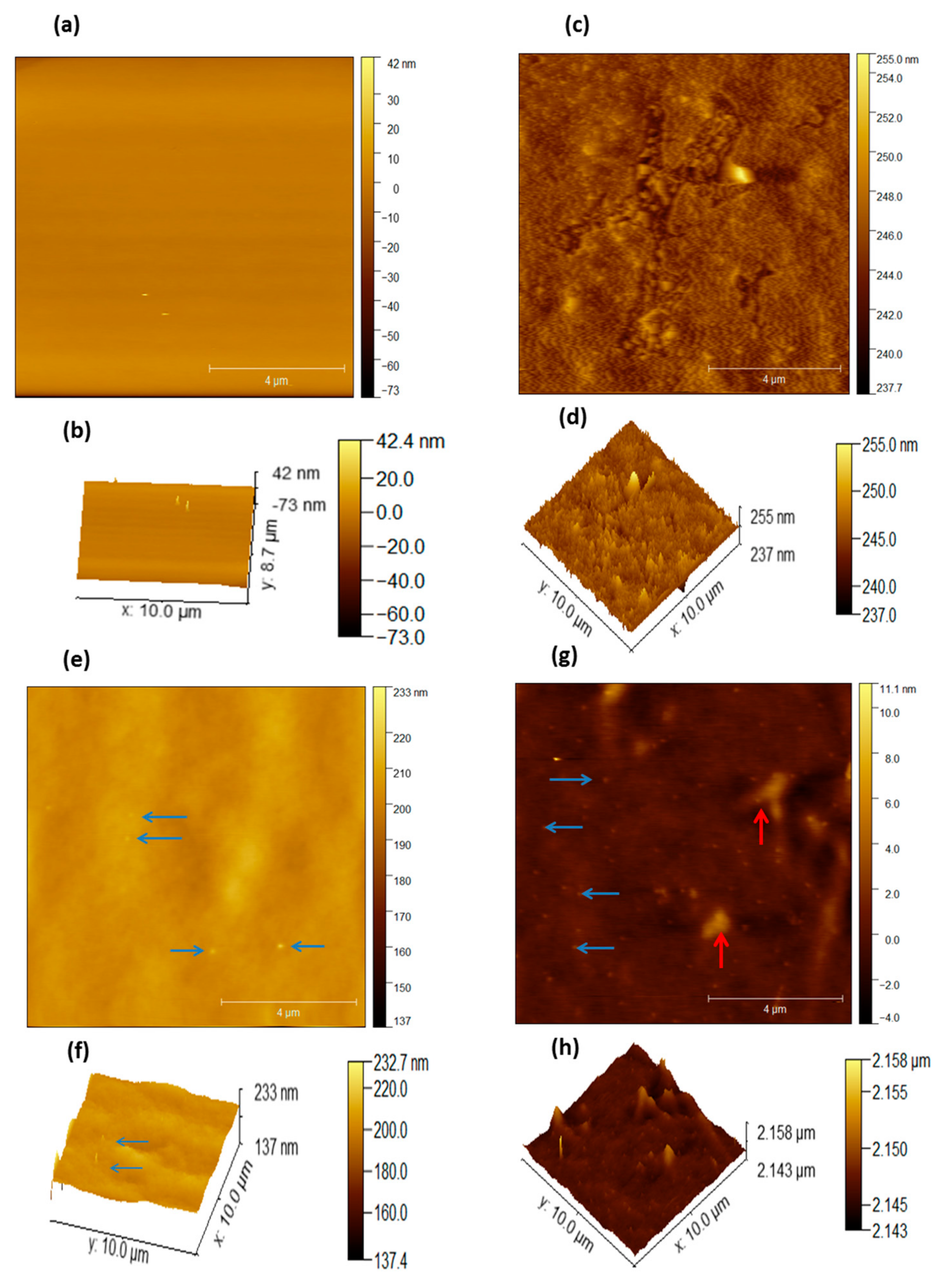 Energies 13 00649 g005