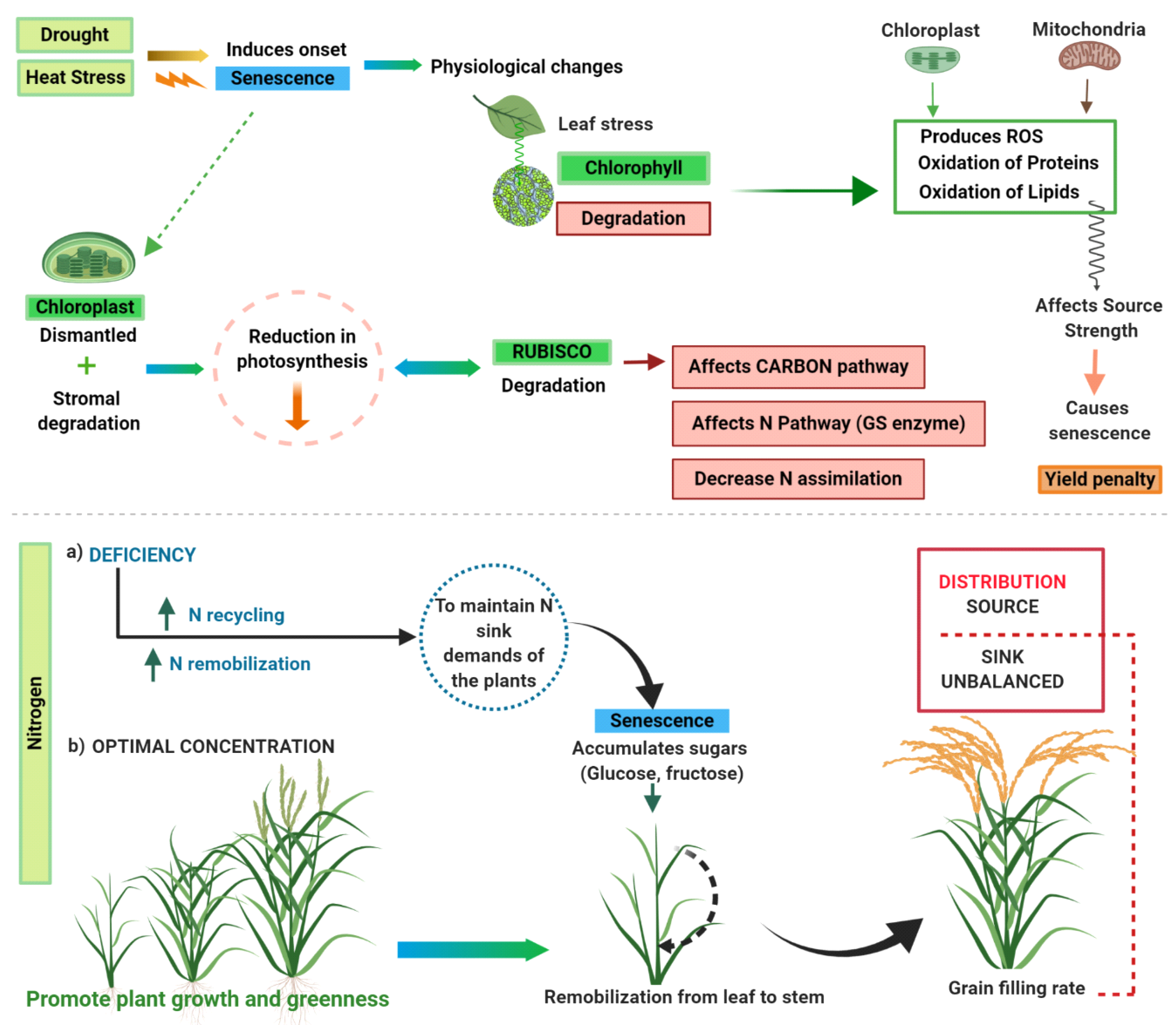 Energies 13 00790 g001 Energies 13 00790 g001