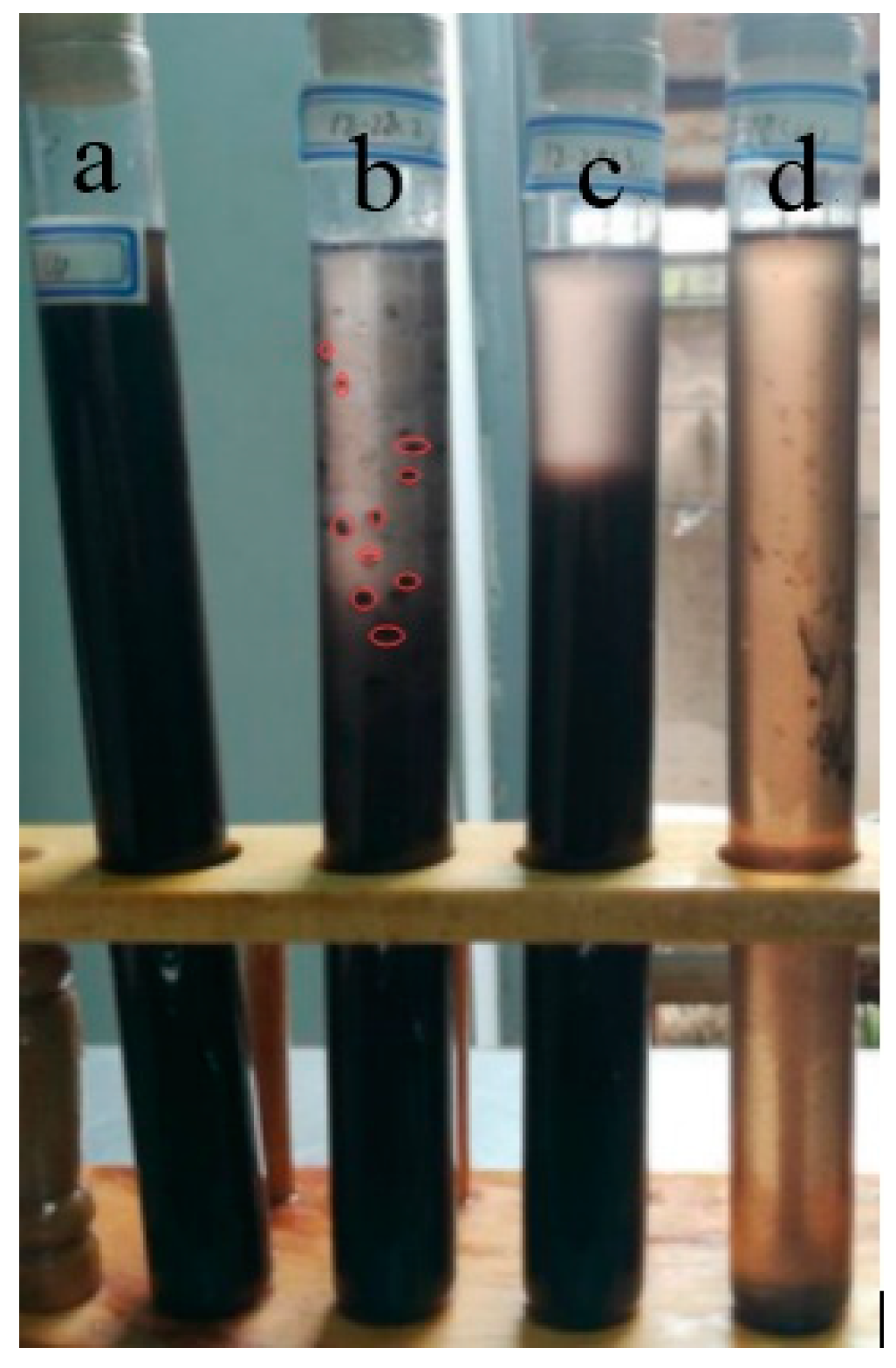 Energies 13 00876 g007 550