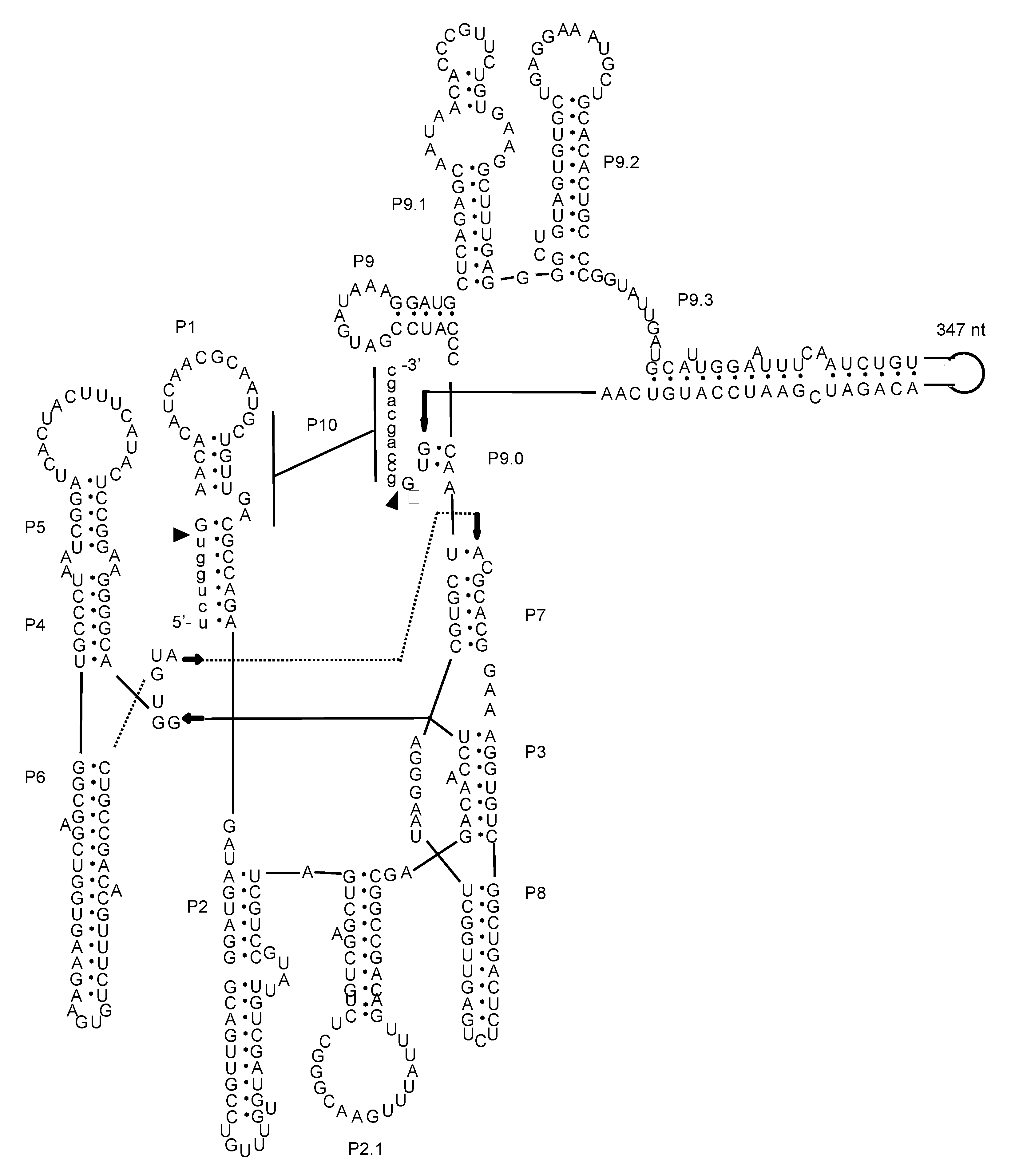 Energies 13 00898 g001 Energies 13 00898 g001