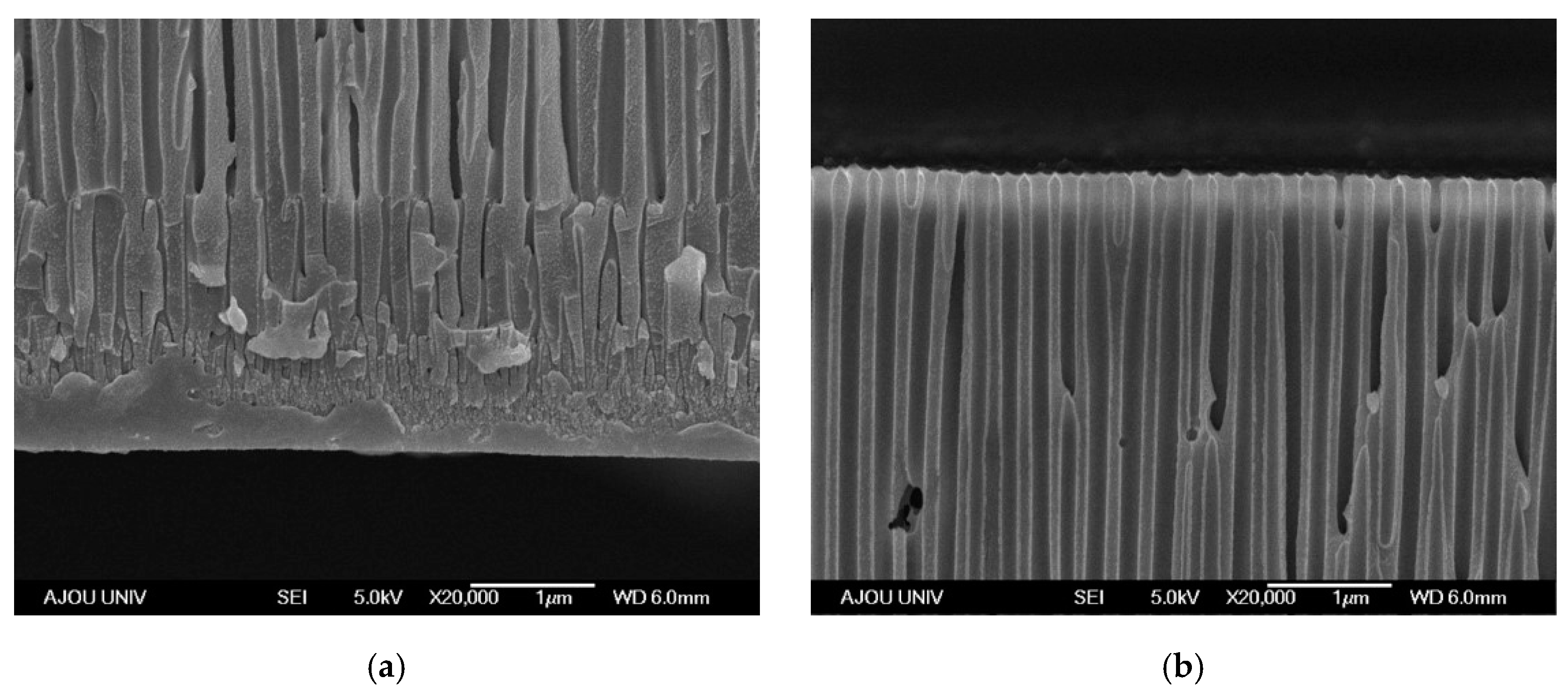 Energies 13 00904 g003