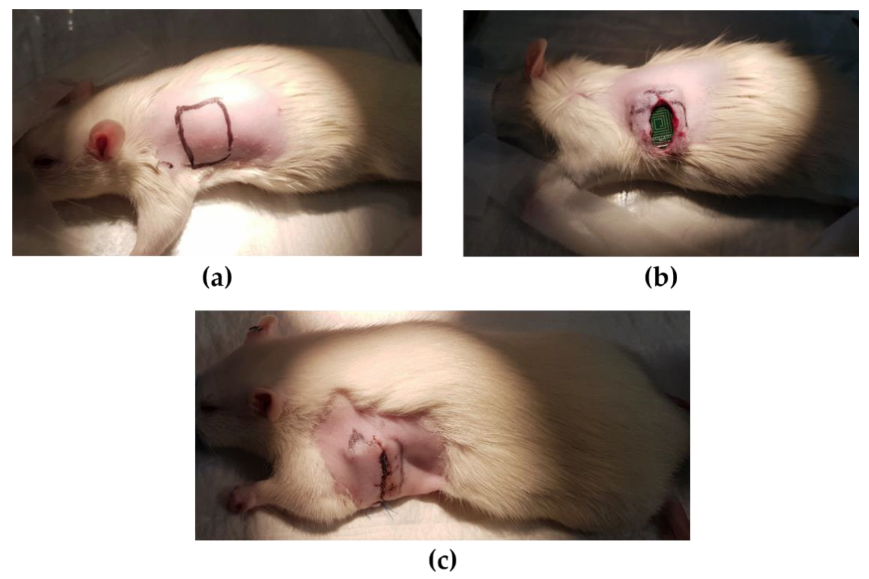 Energies 13 00905 g011