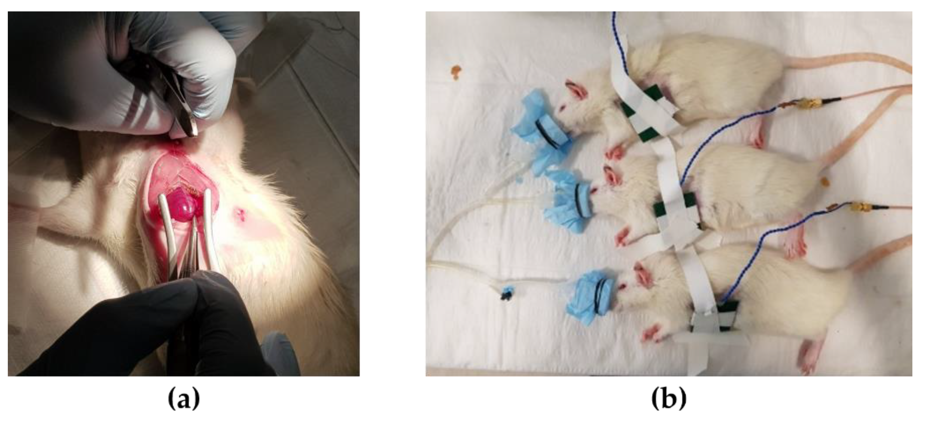 Energies 13 00905 g012