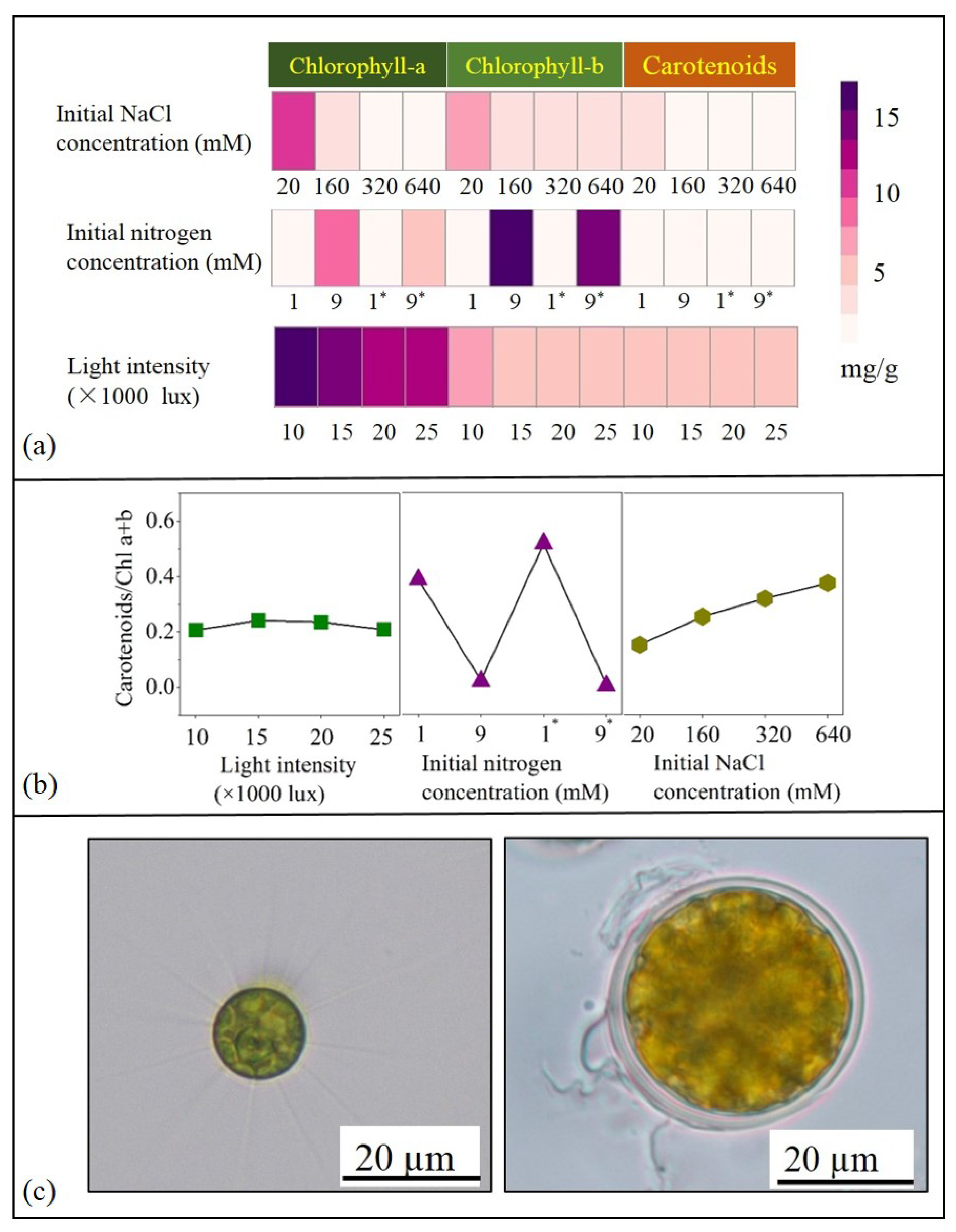Energies 13 00964 g003 Energies 13 00964 g003