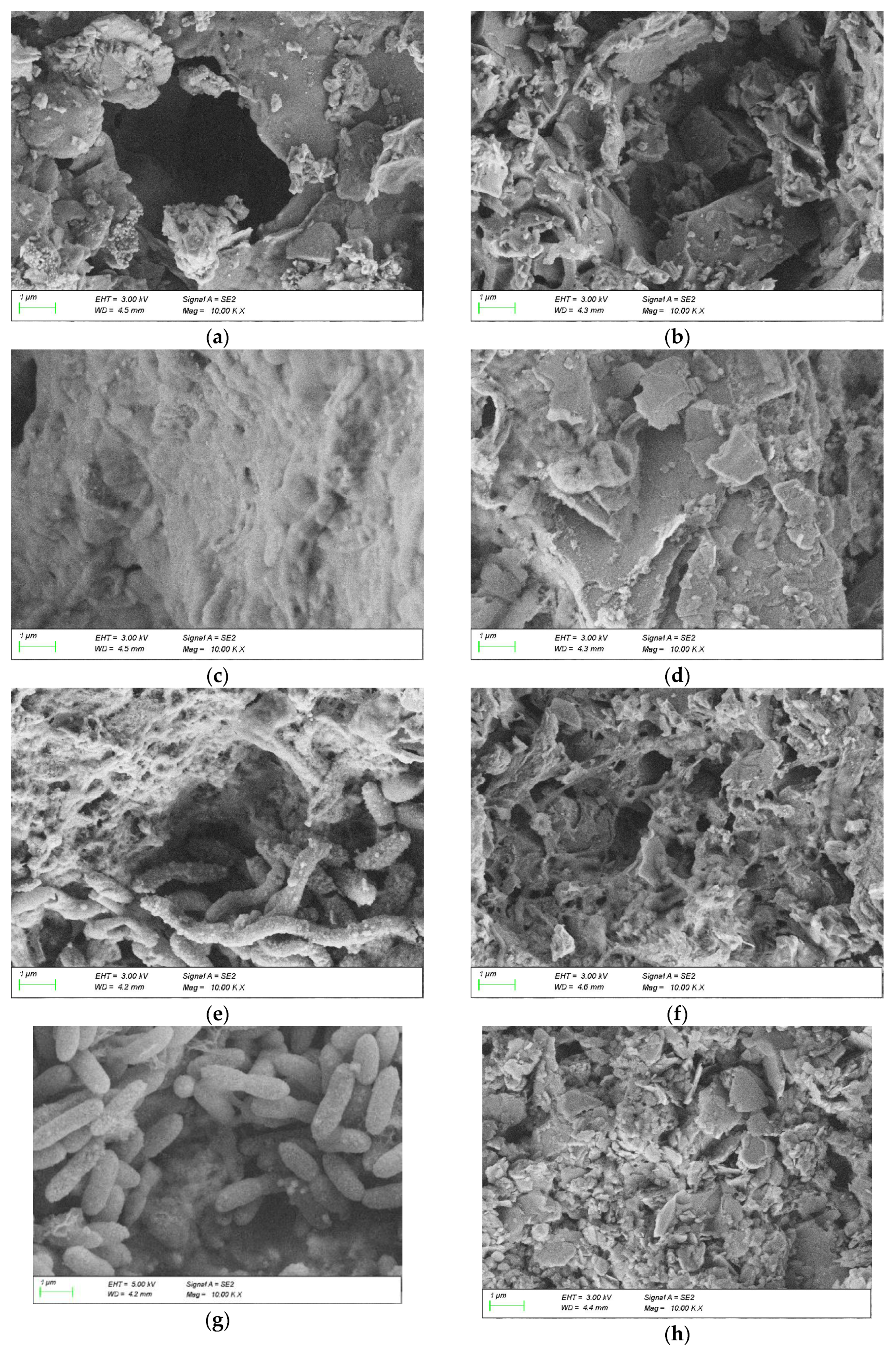 Energies 13 00995 g010a Energies 13 00995 g010a