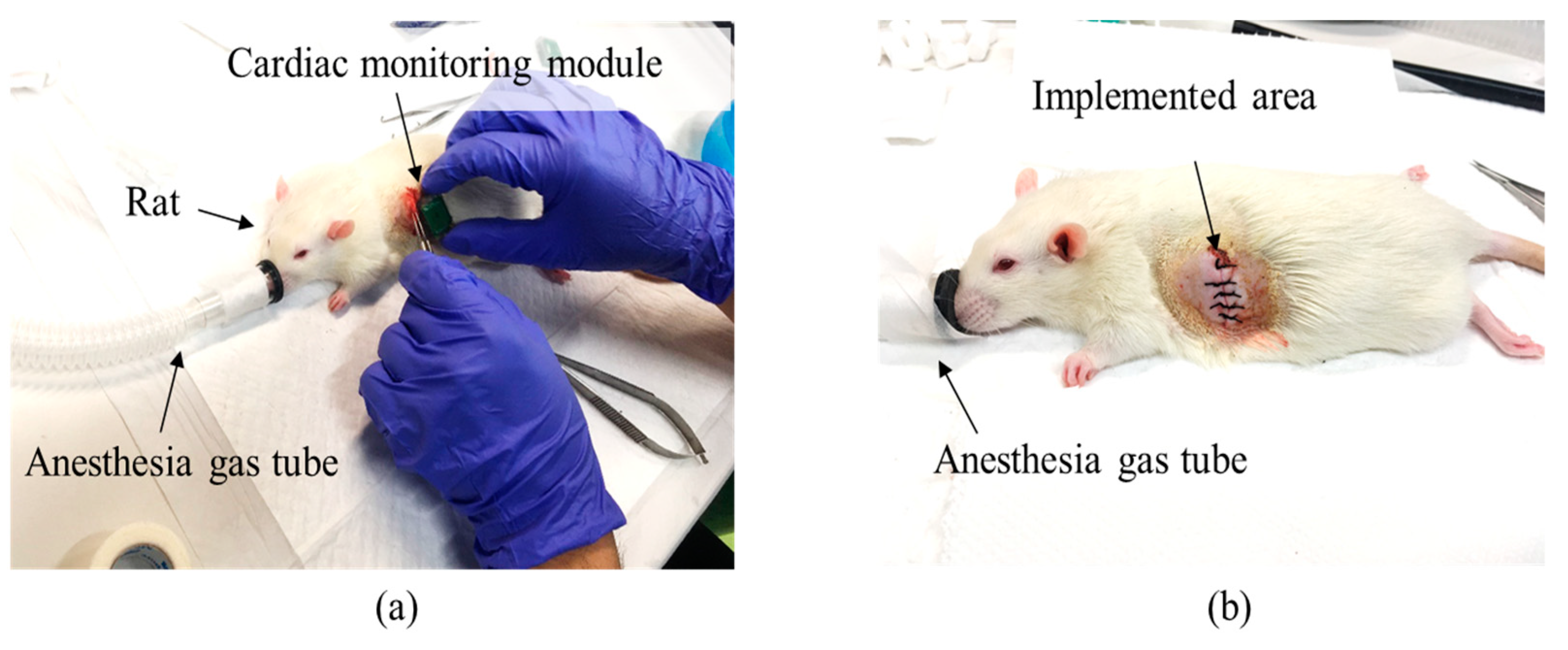 Energies 13 01008 g015