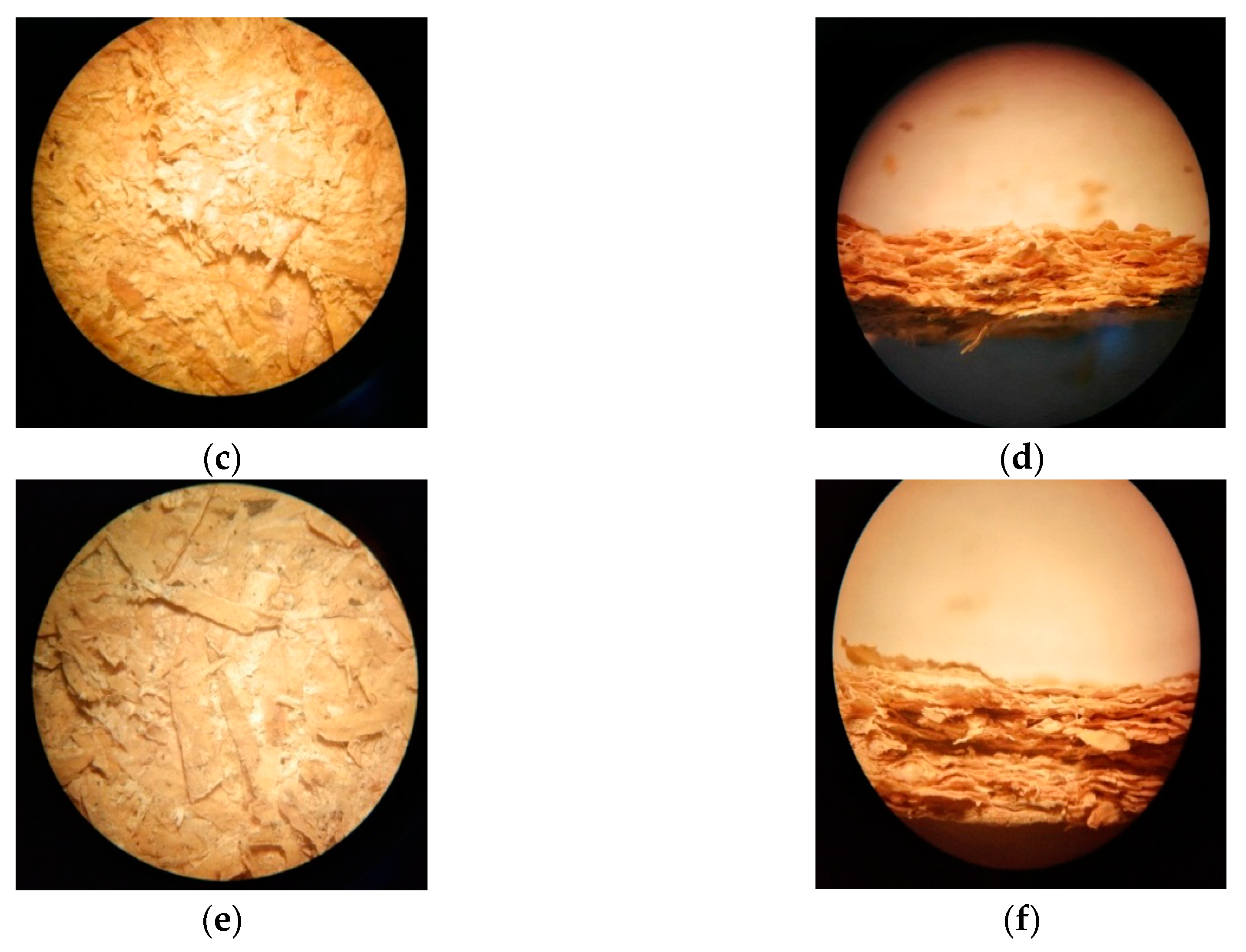 Energies 13 01060 g011b Energies 13 01060 g011b