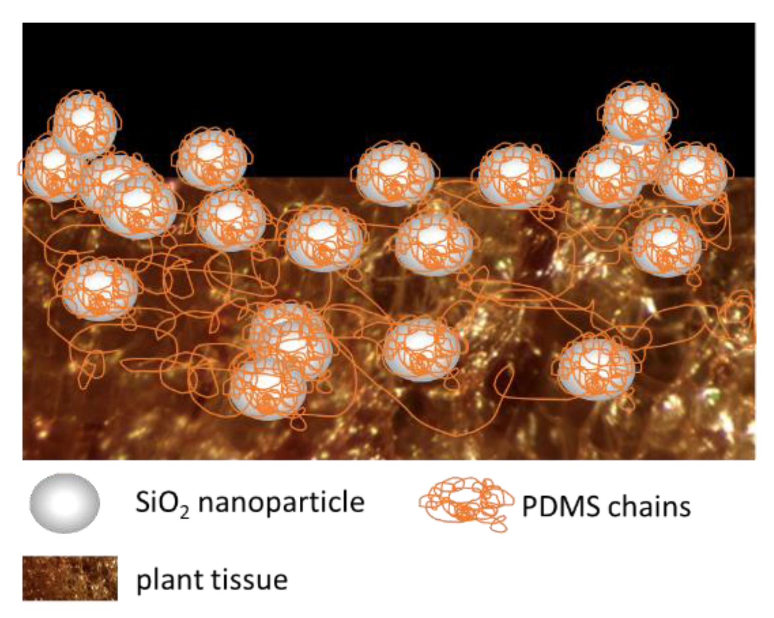 Energies 13 01064 g002 Energies 13 01064 g002