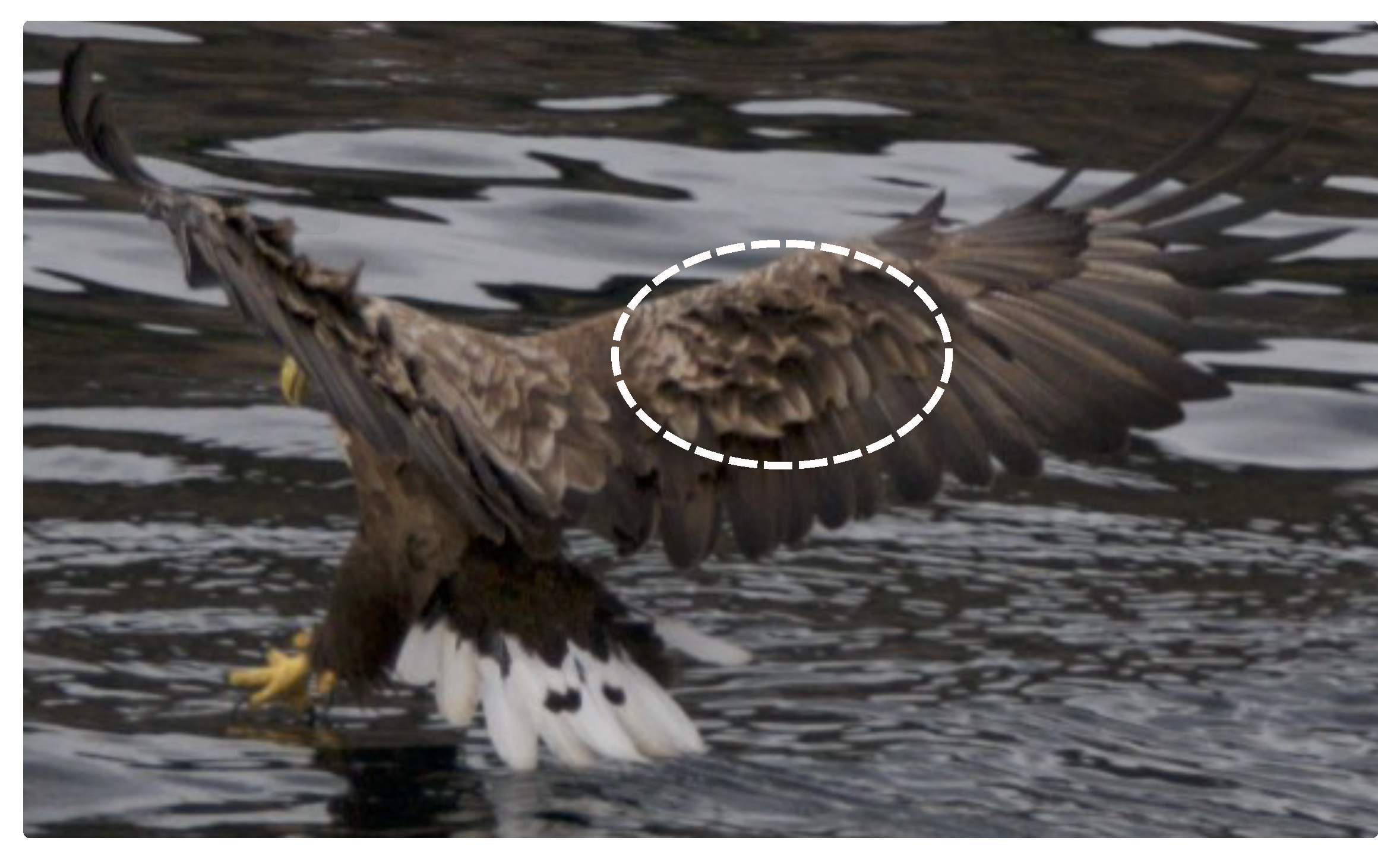 Energies 13 01077 g001