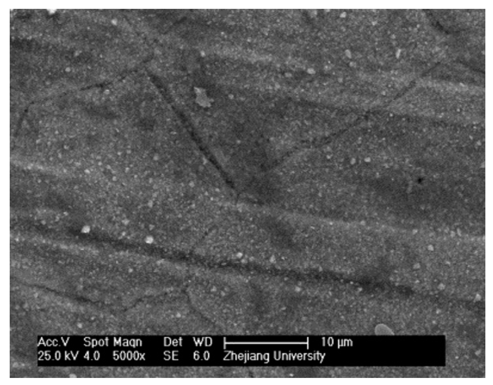 Energies 13 01092 g006 Energies 13 01092 g006