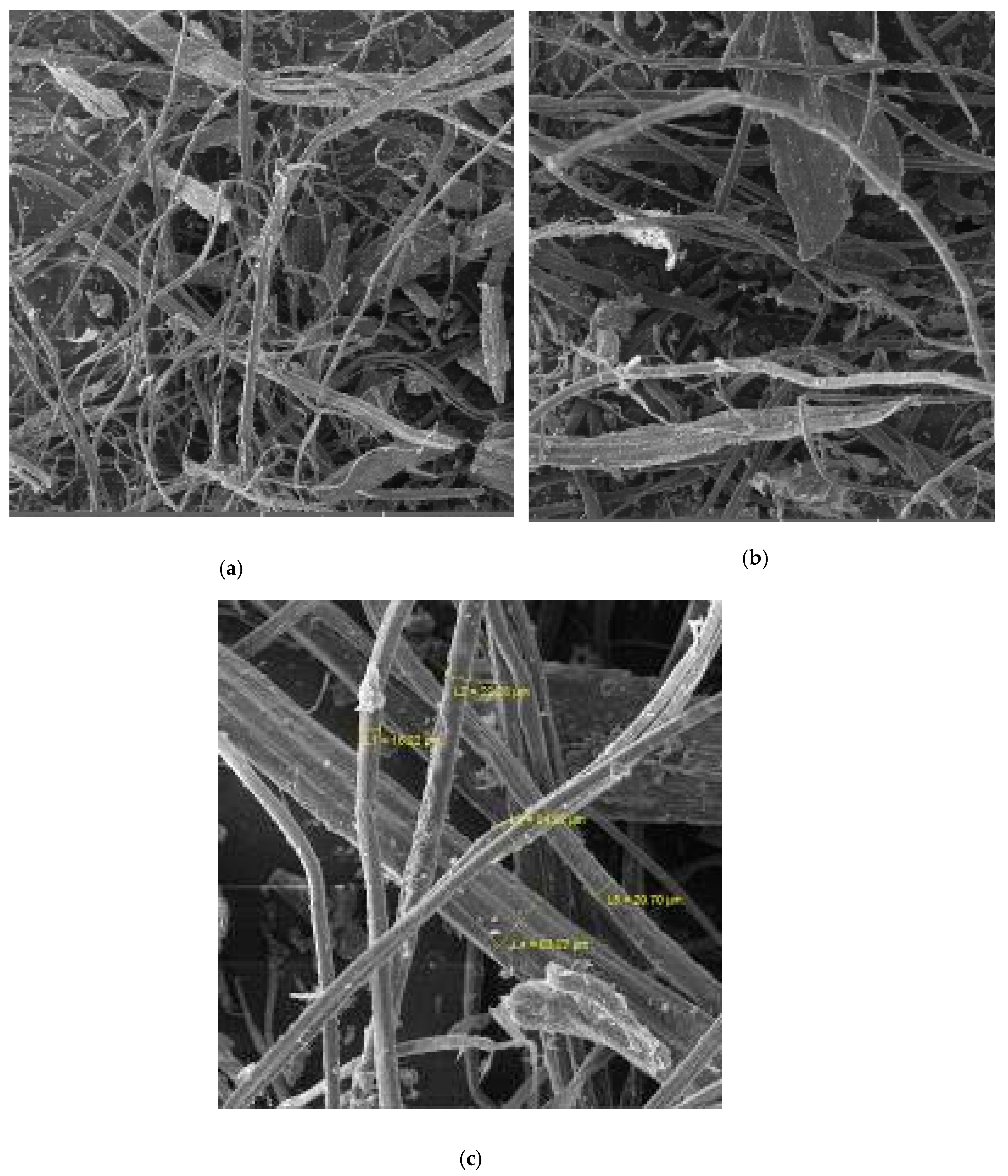 Energies 13 01165 g004